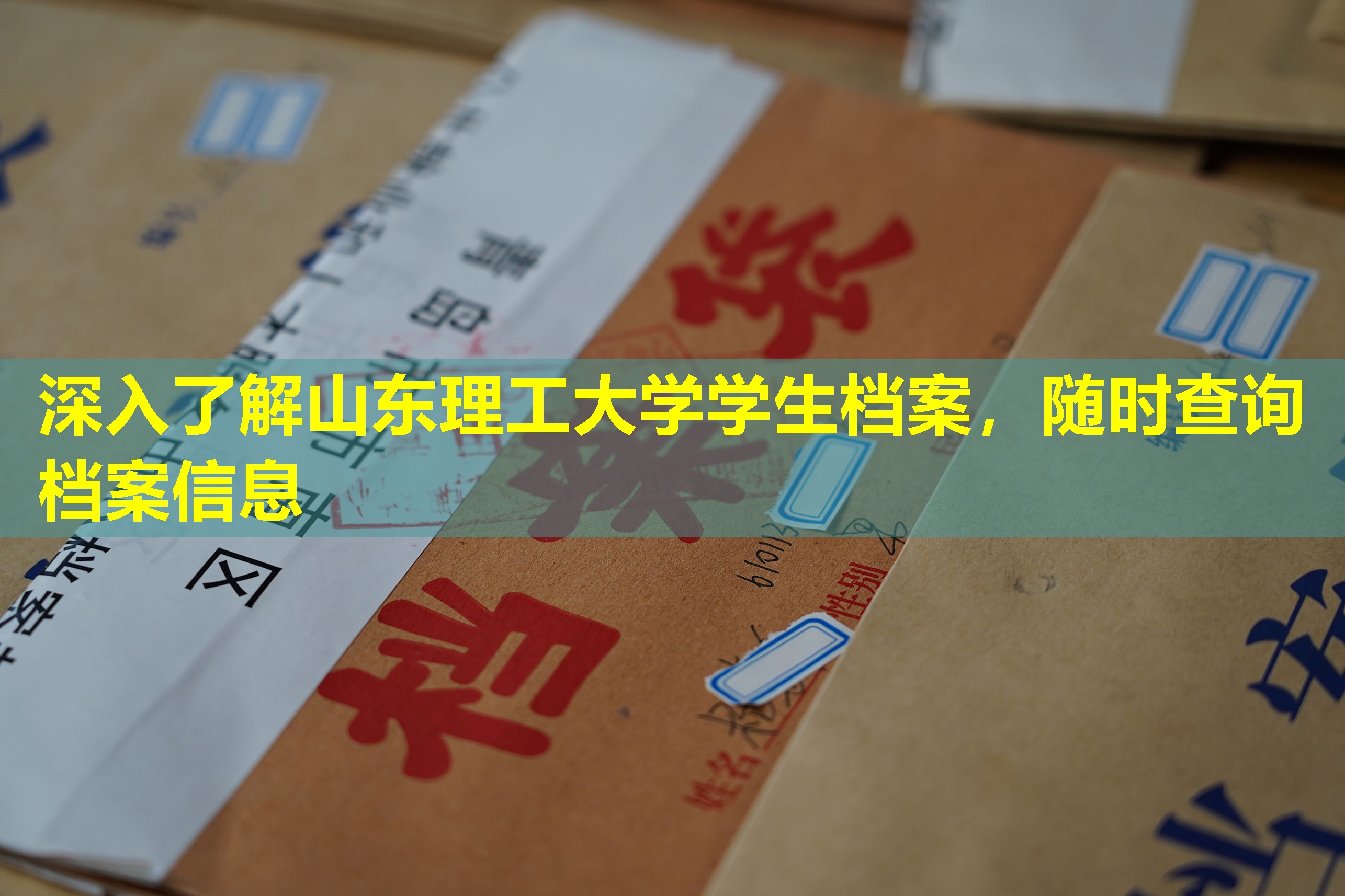 深入了解山东理工大学学生档案，随时查询档案信息