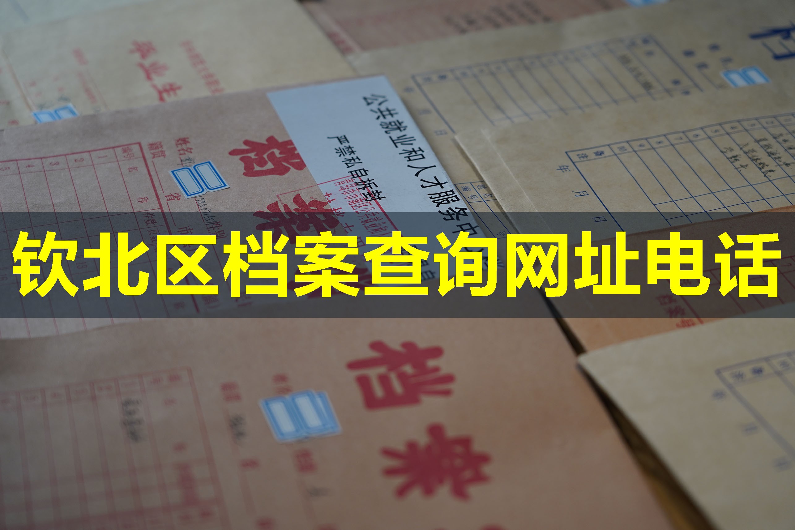 钦北区档案查询网址电话