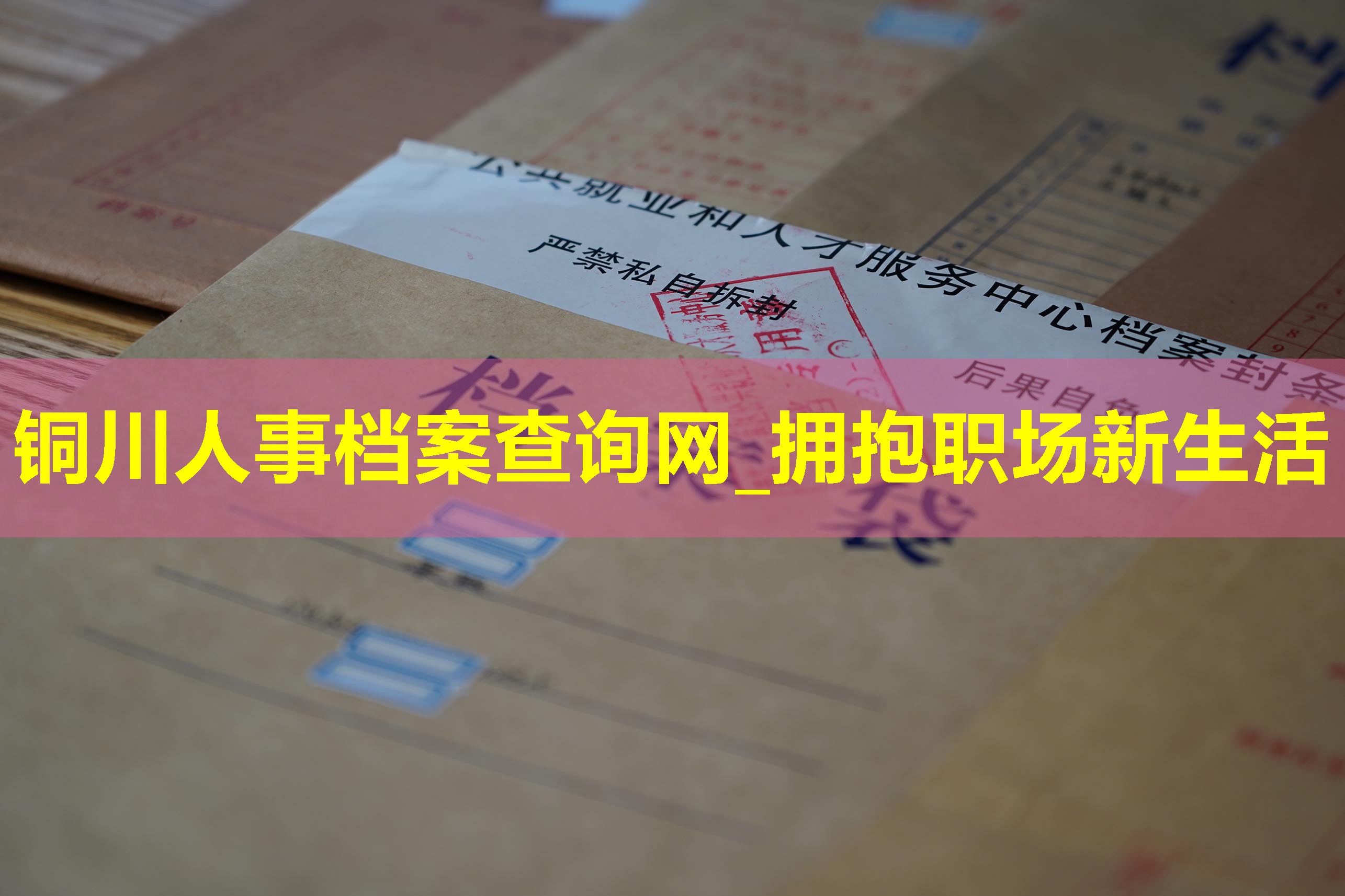 铜川人事档案查询网_拥抱职场新生活