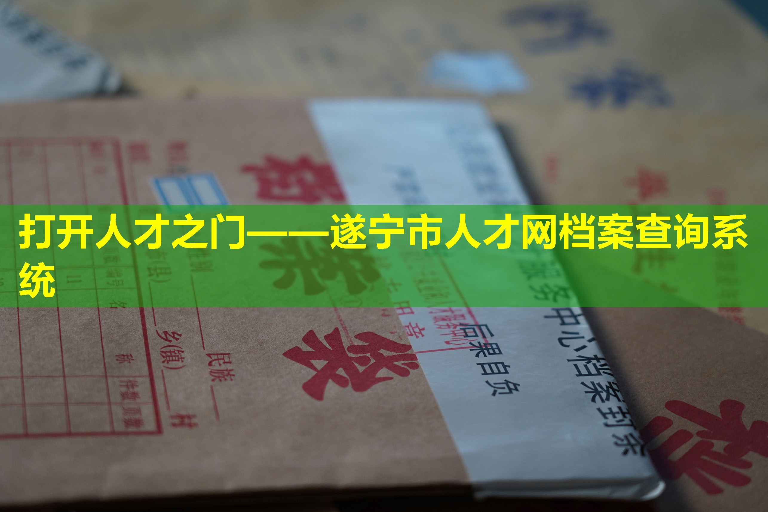 打开人才之门——遂宁市人才网档案查询系统