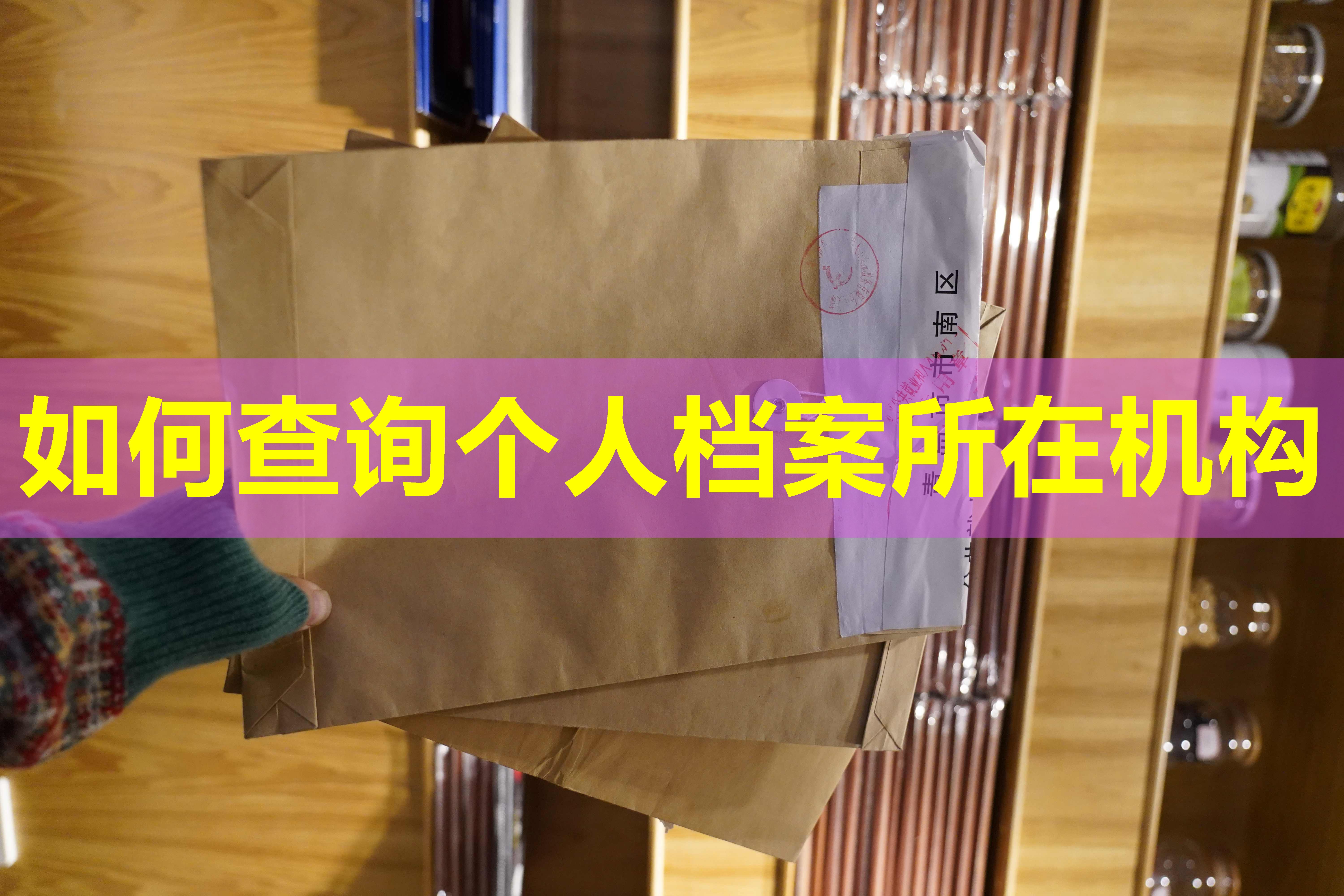 如何查询个人档案所在机构
