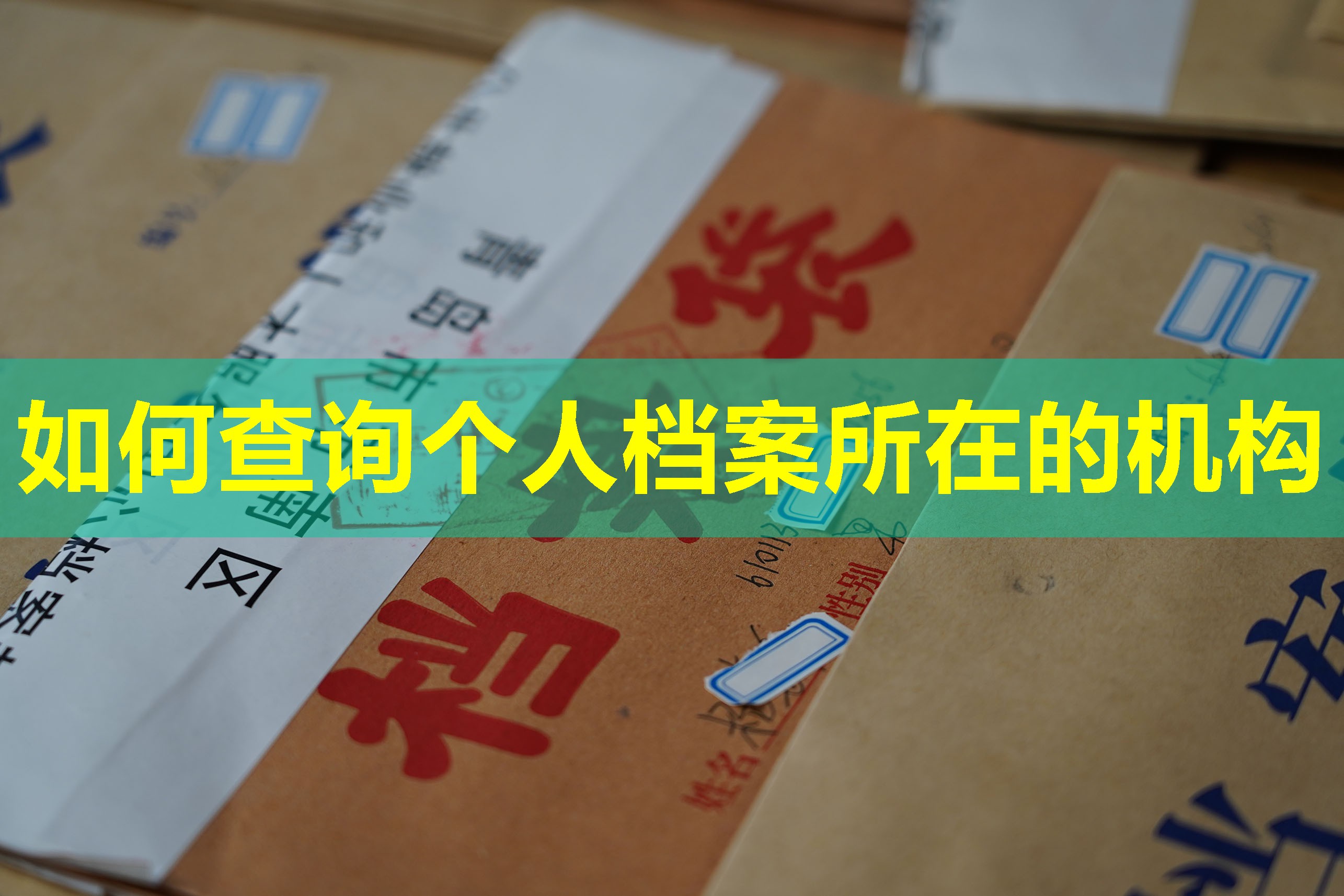 如何查询个人档案所在的机构