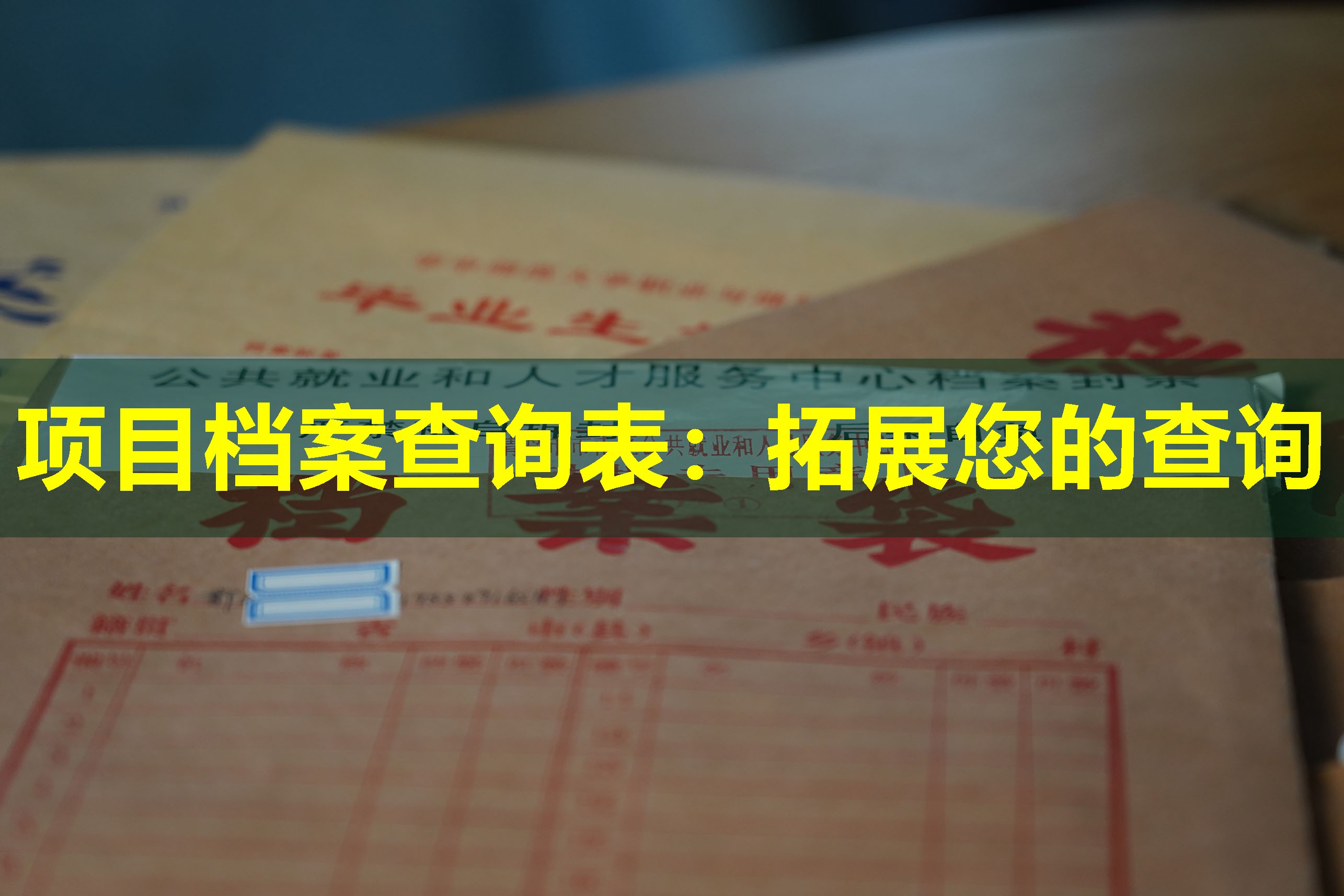 项目档案查询表：拓展您的查询