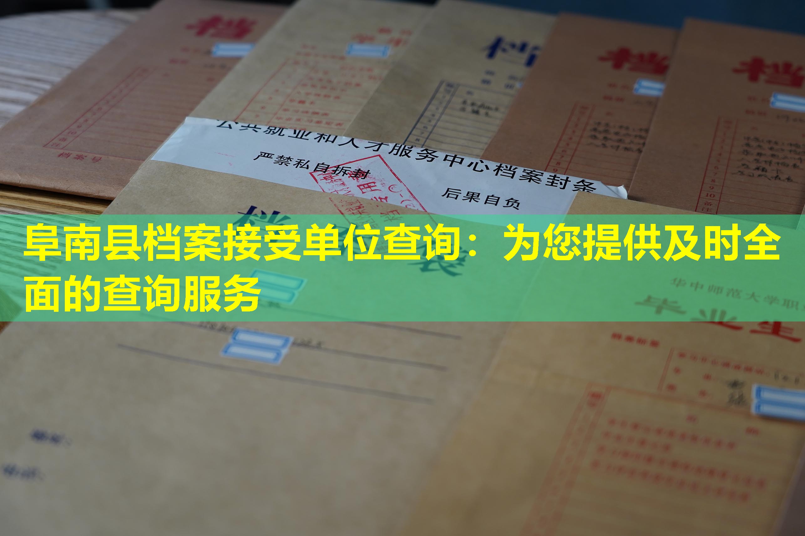 阜南县档案接受单位查询：为您提供及时全面的查询服务