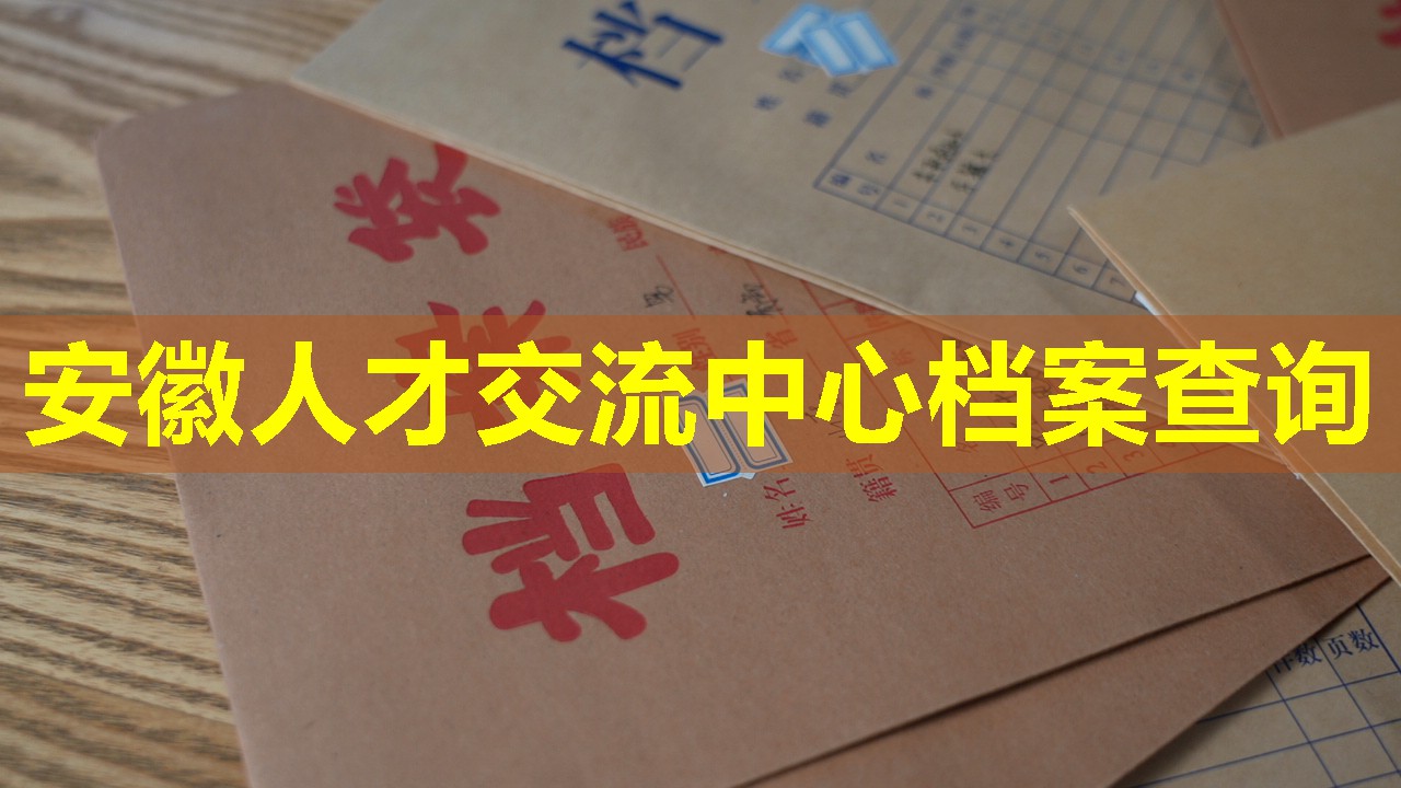 安徽人才交流中心档案查询