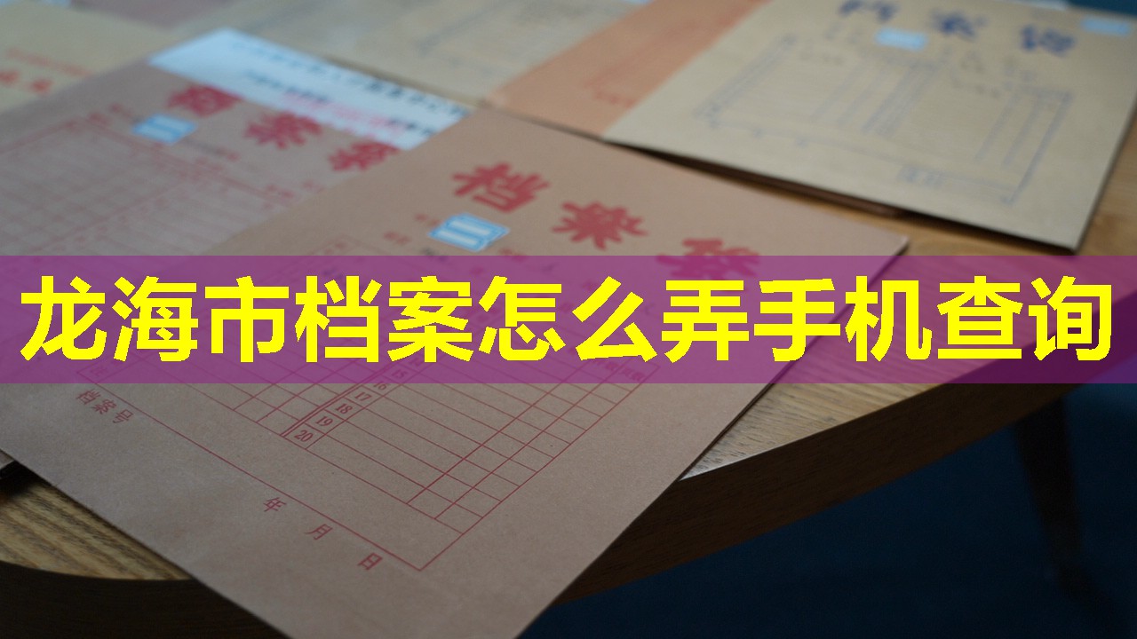 龙海市档案怎么弄手机查询