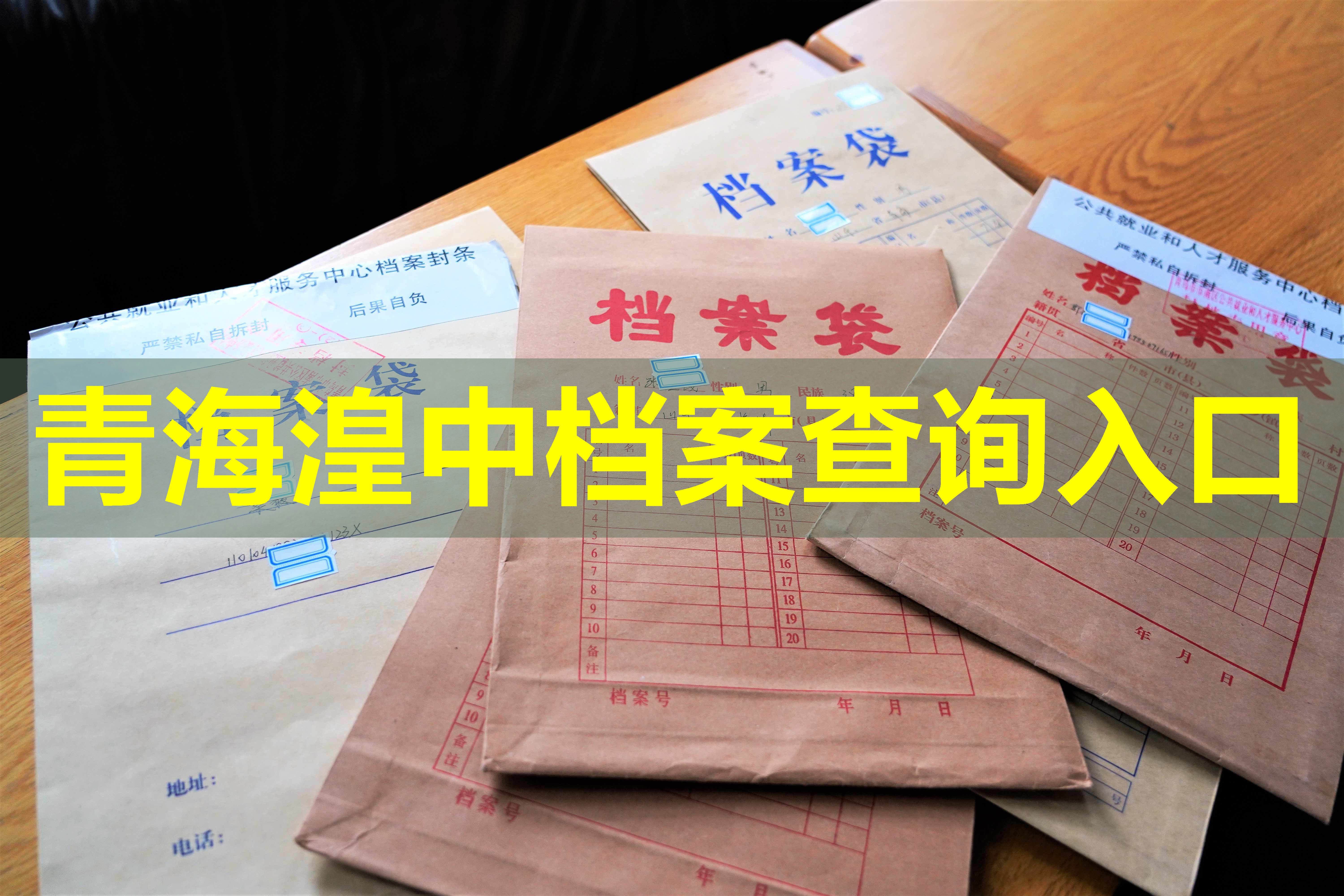 青海湟中档案查询入口