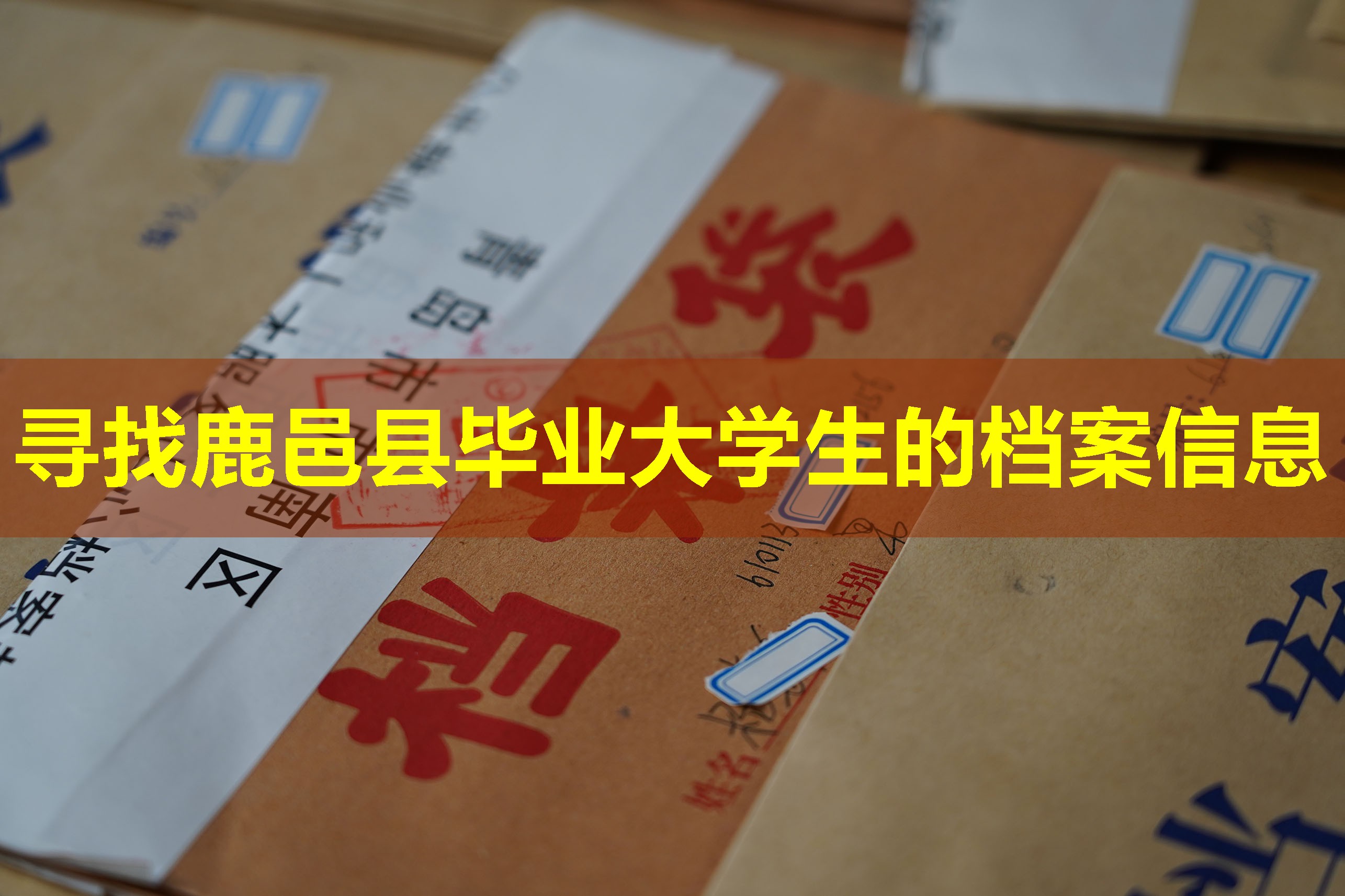 寻找鹿邑县毕业大学生的档案信息