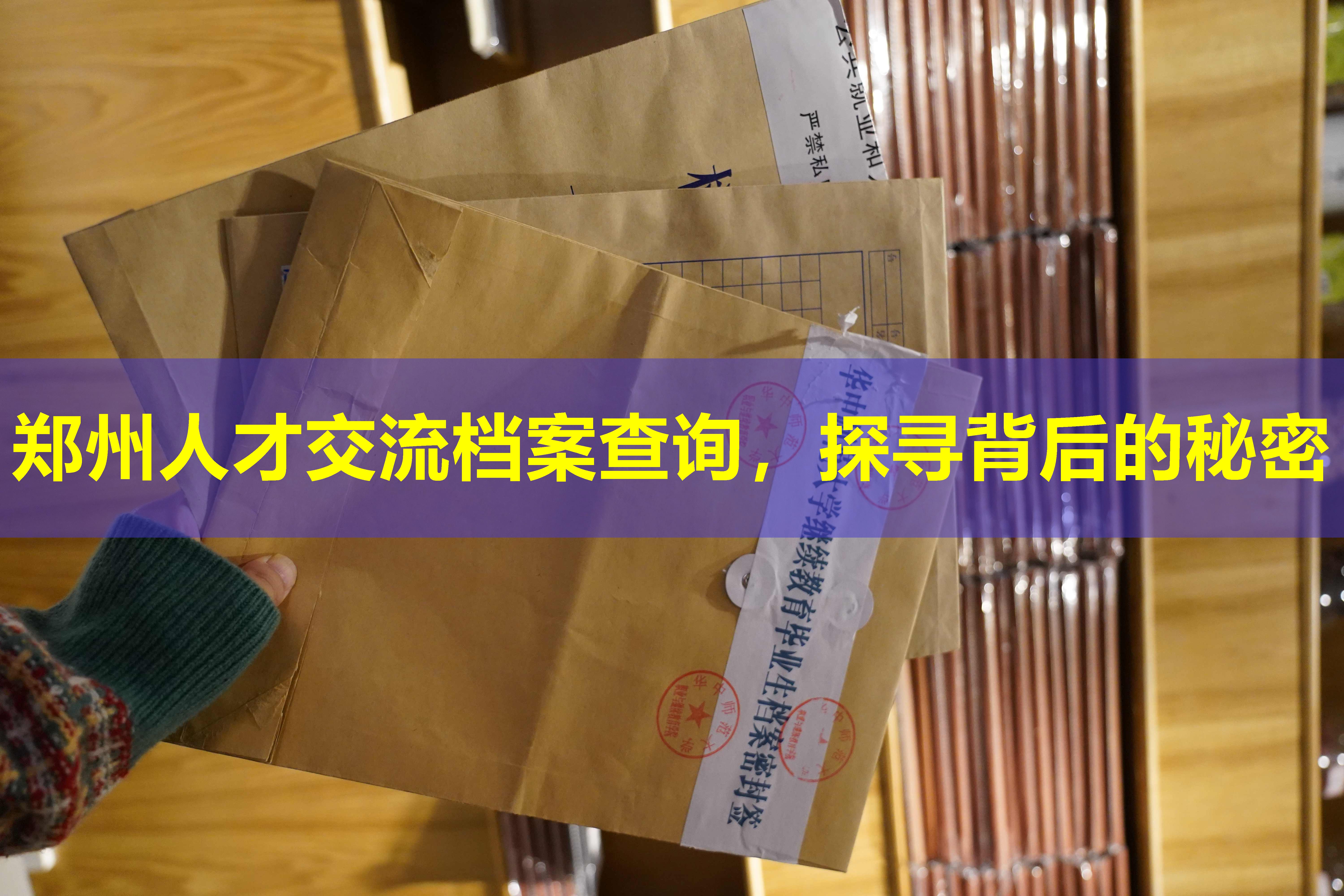 郑州人才交流档案查询，探寻背后的秘密