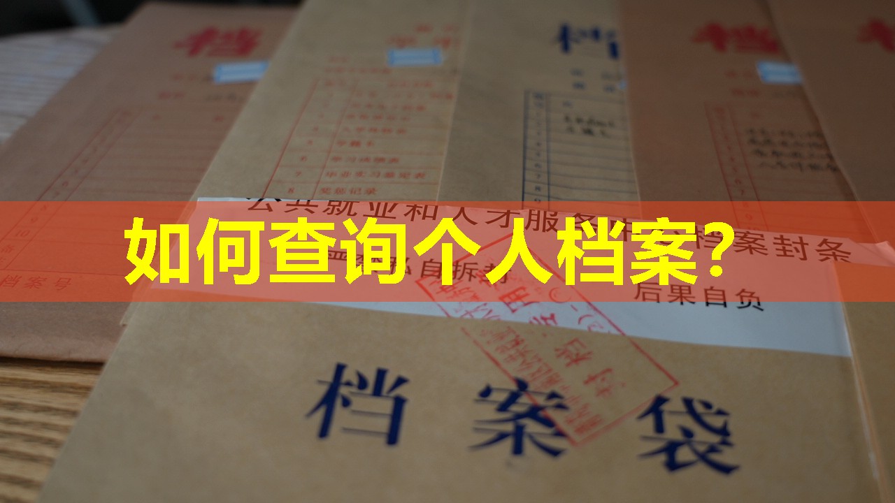 如何查询个人档案？