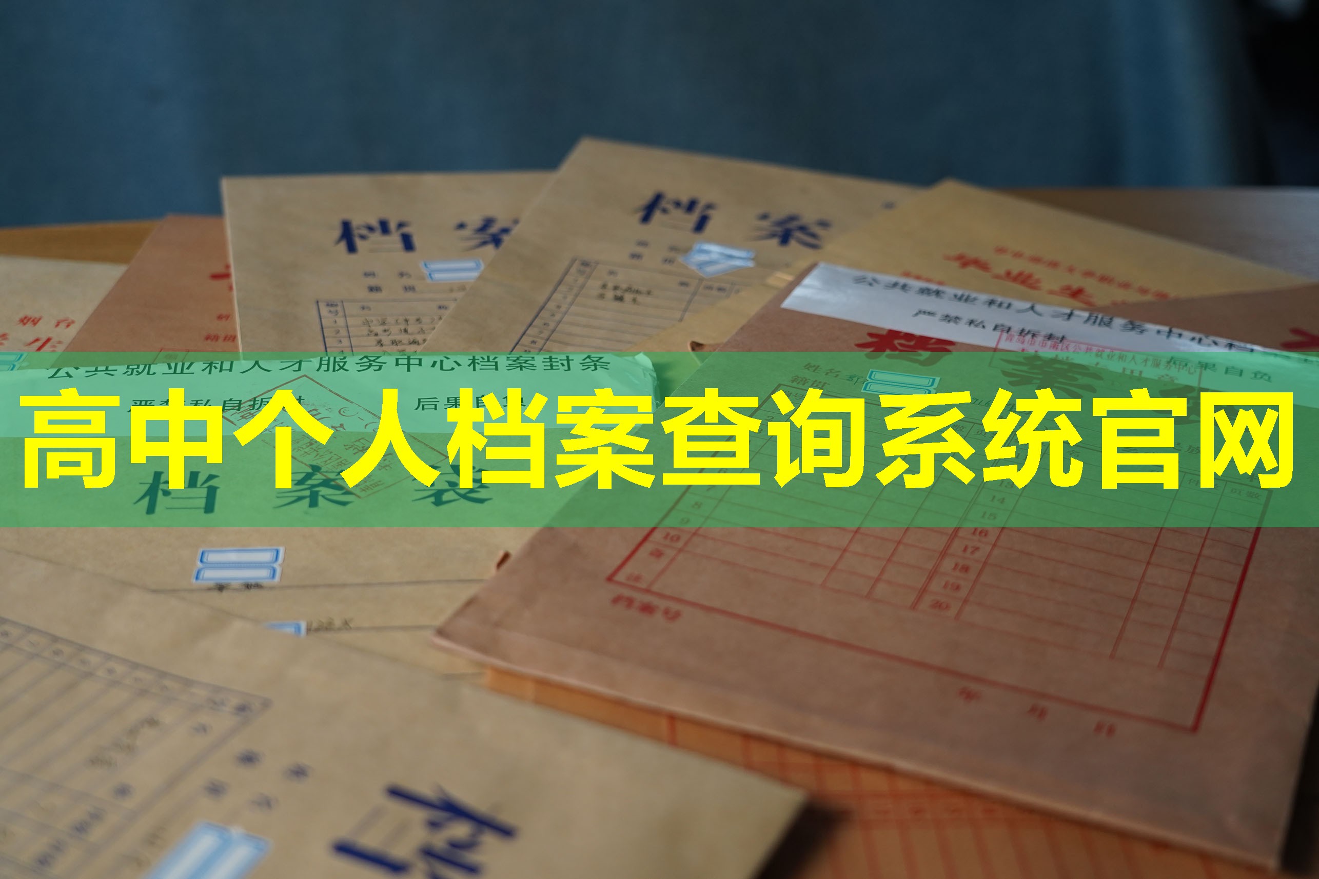 高中个人档案查询系统官网