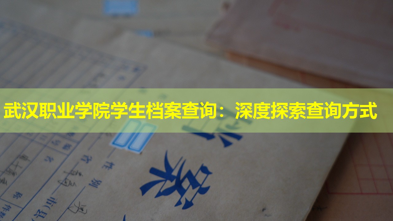 武汉职业学院学生档案查询：深度探索查询方式