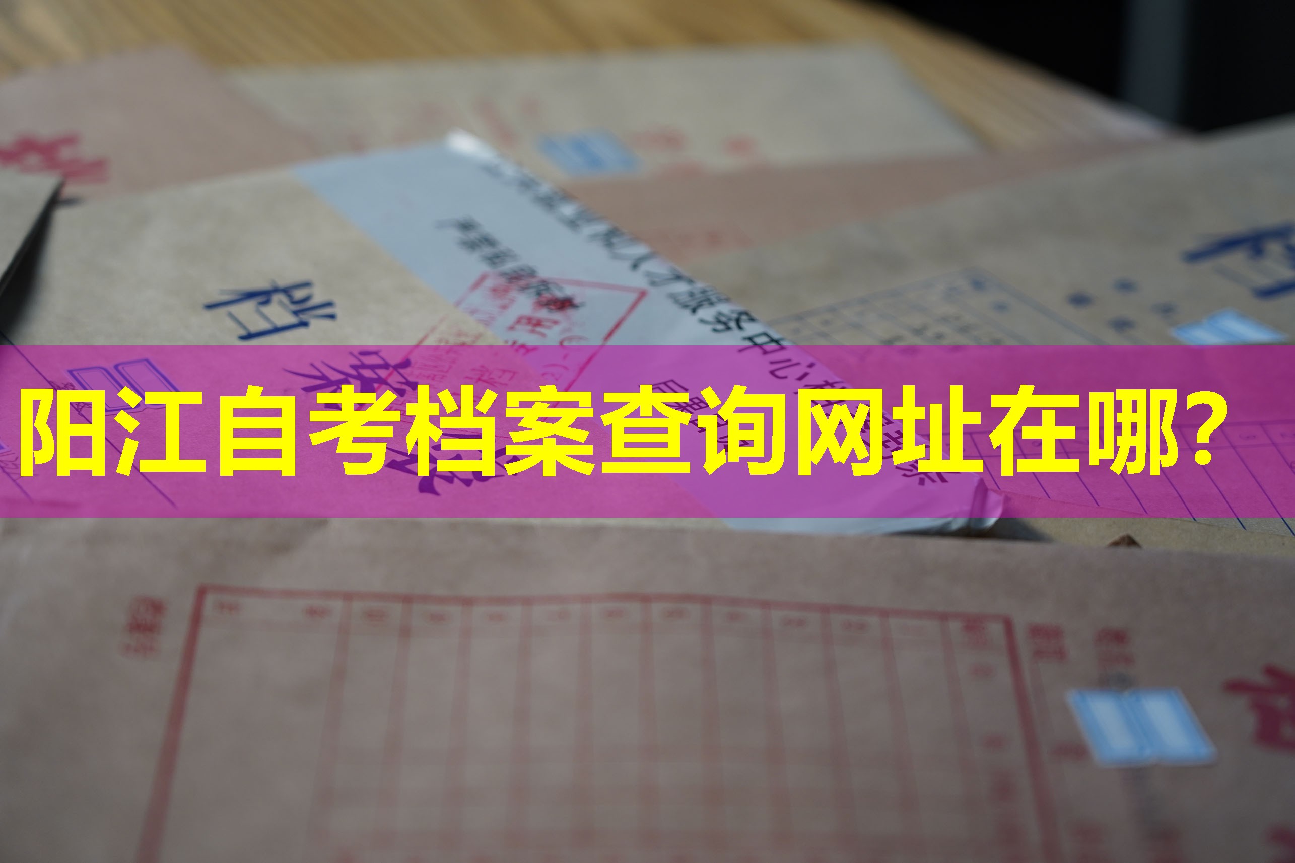 阳江自考档案查询网址在哪？
