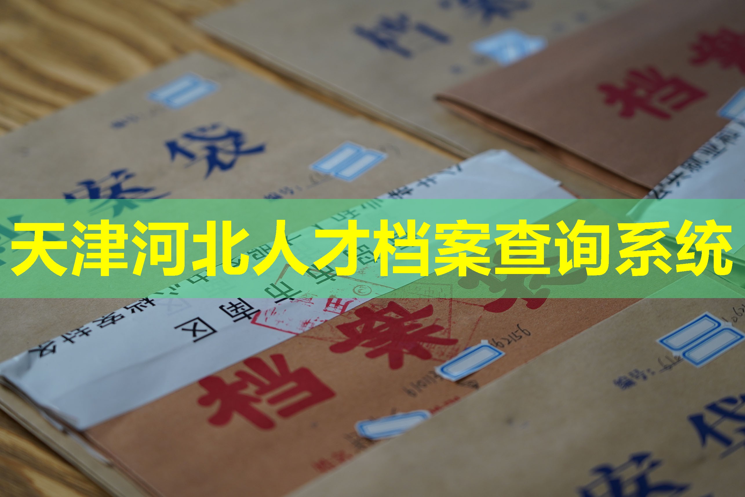 天津河北人才档案查询系统