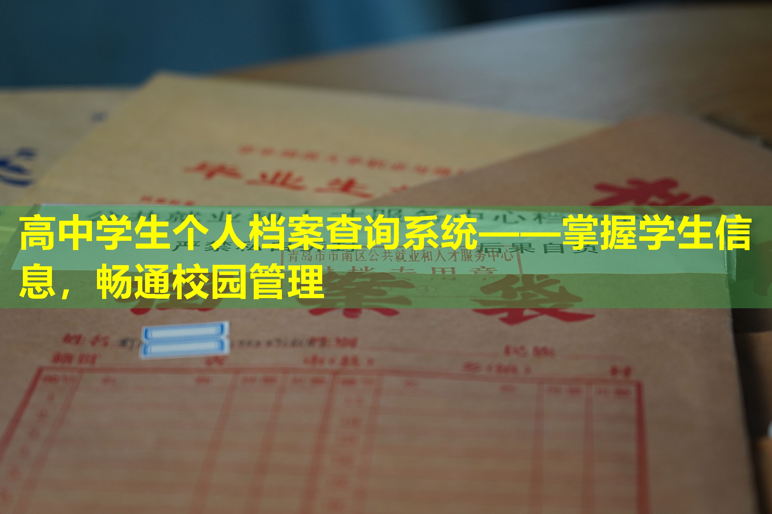 高中学生个人档案查询系统——掌握学生信息，畅通校园管理