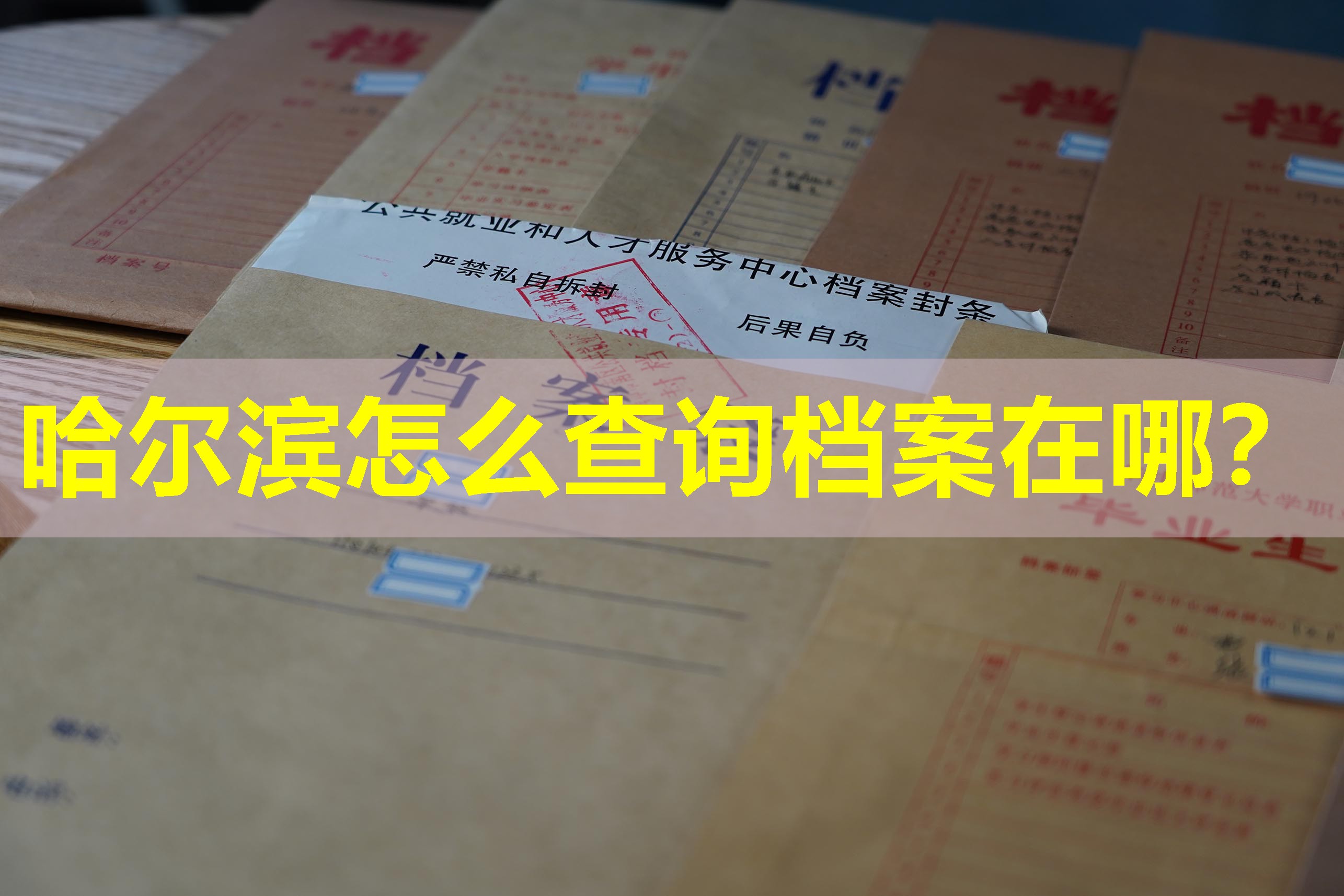 哈尔滨怎么查询档案在哪？