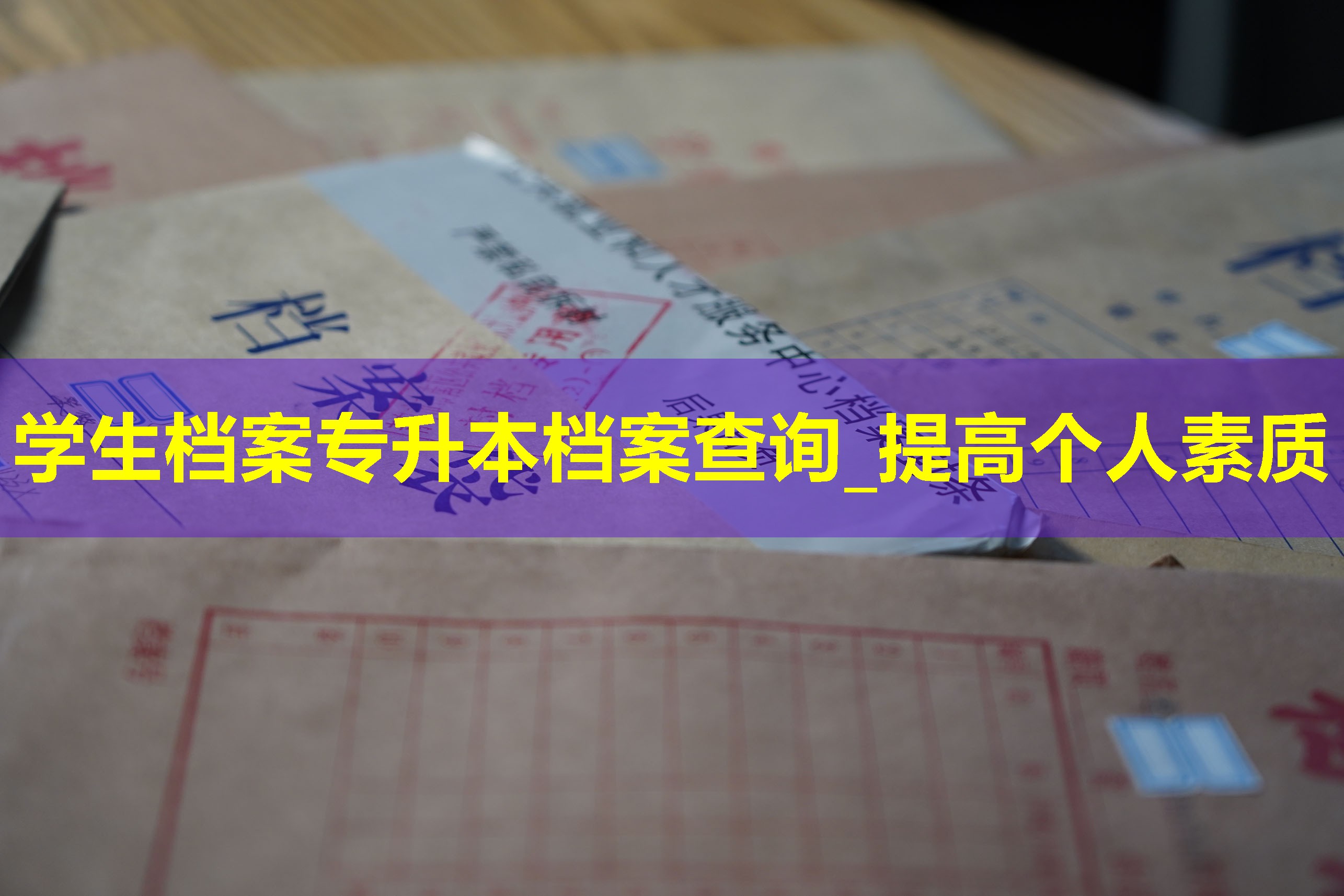 学生档案专升本档案查询_提高个人素质