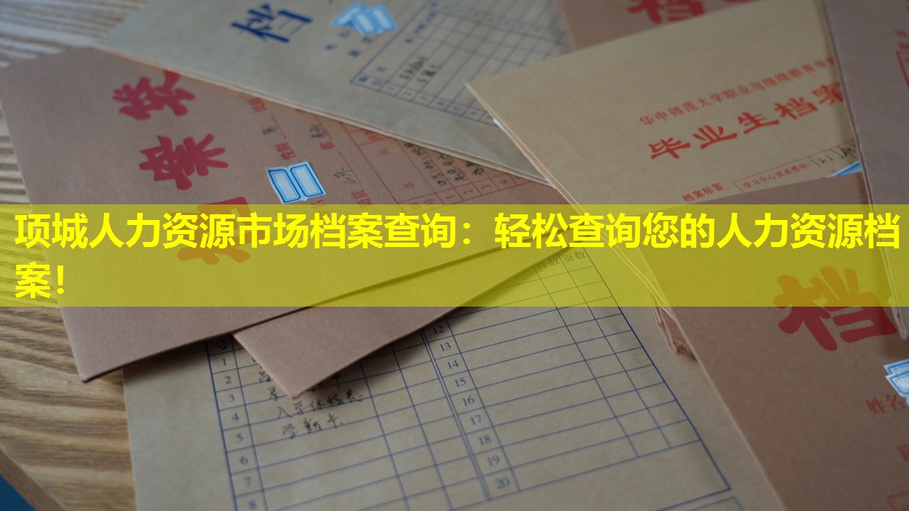 项城人力资源市场档案查询：轻松查询您的人力资源档案！