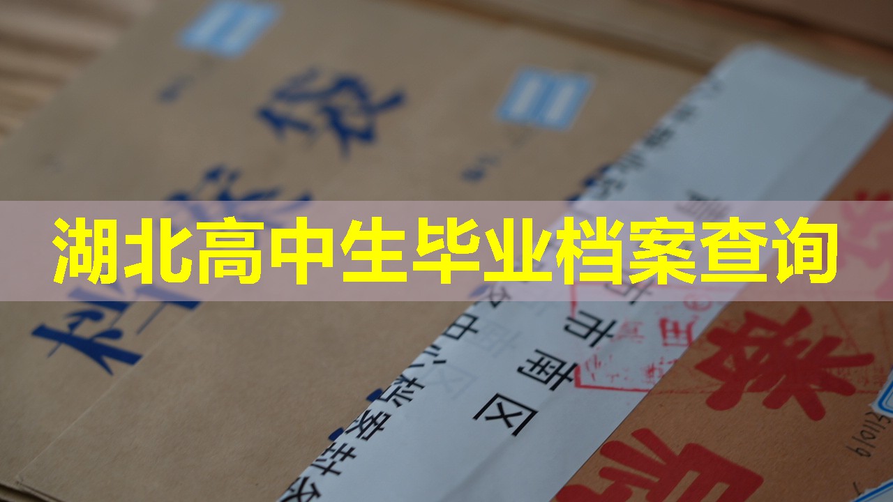 湖北高中生毕业档案查询