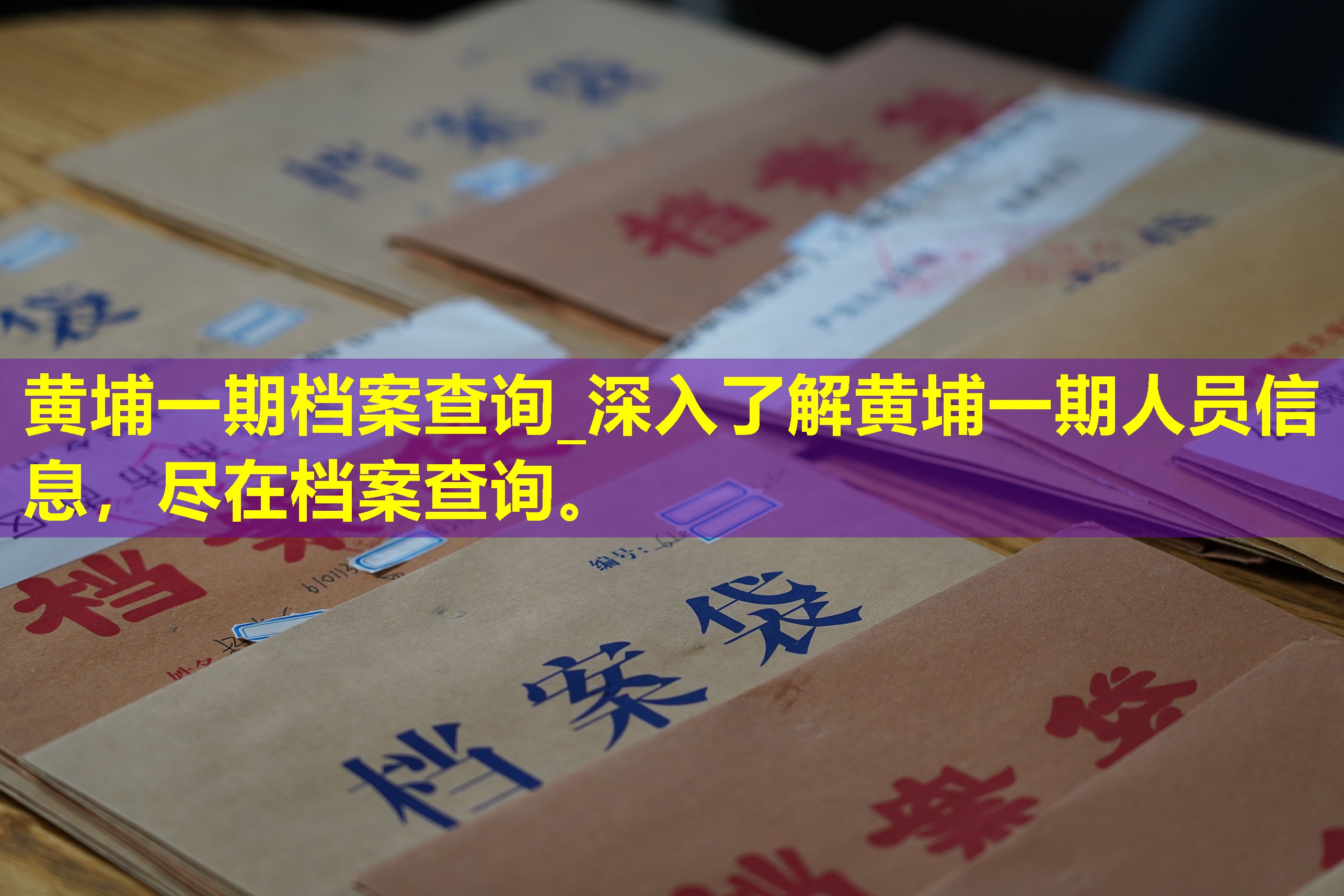 黄埔一期档案查询_深入了解黄埔一期人员信息，尽在档案查询。