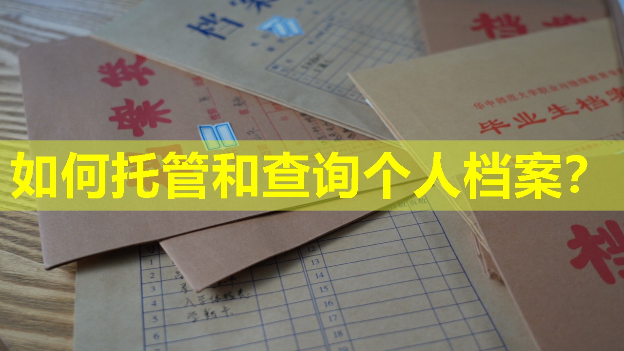 如何托管和查询个人档案？