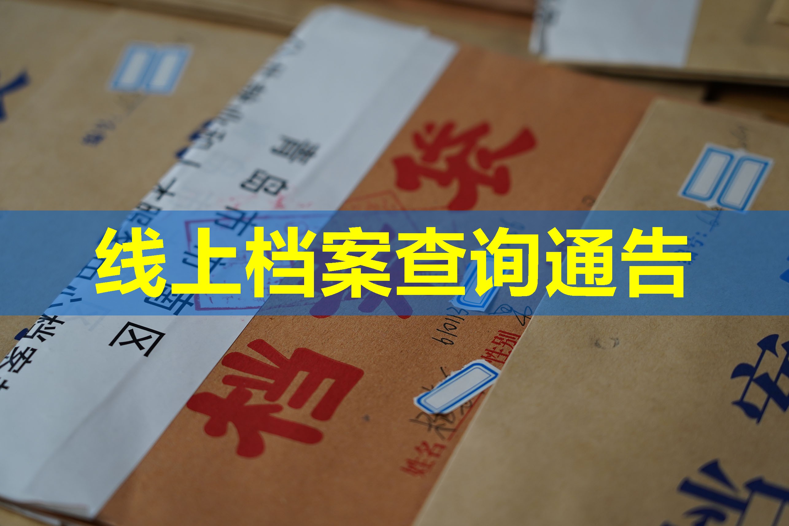 线上档案查询通告