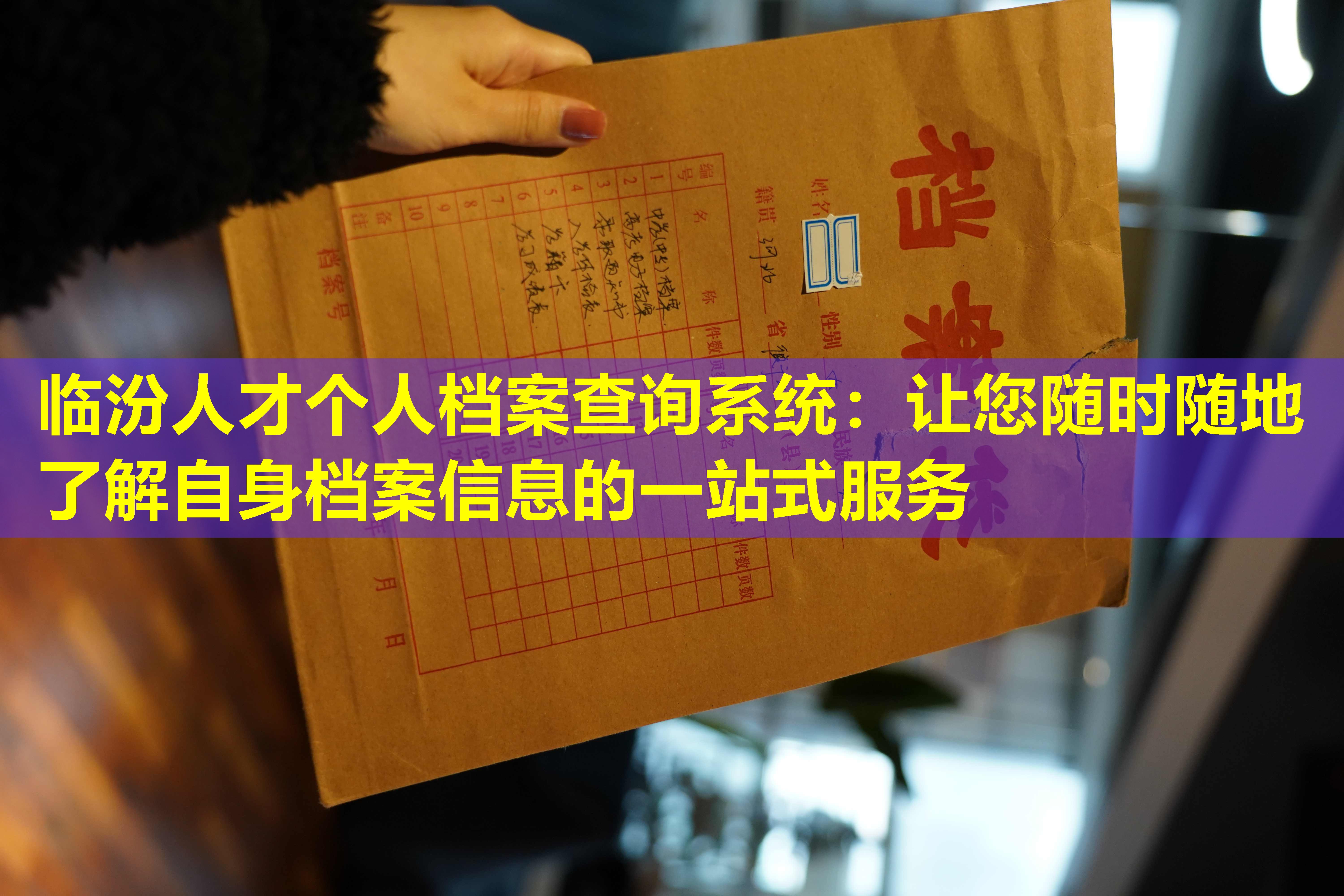 临汾人才个人档案查询系统：让您随时随地了解自身档案信息的一站式服务
