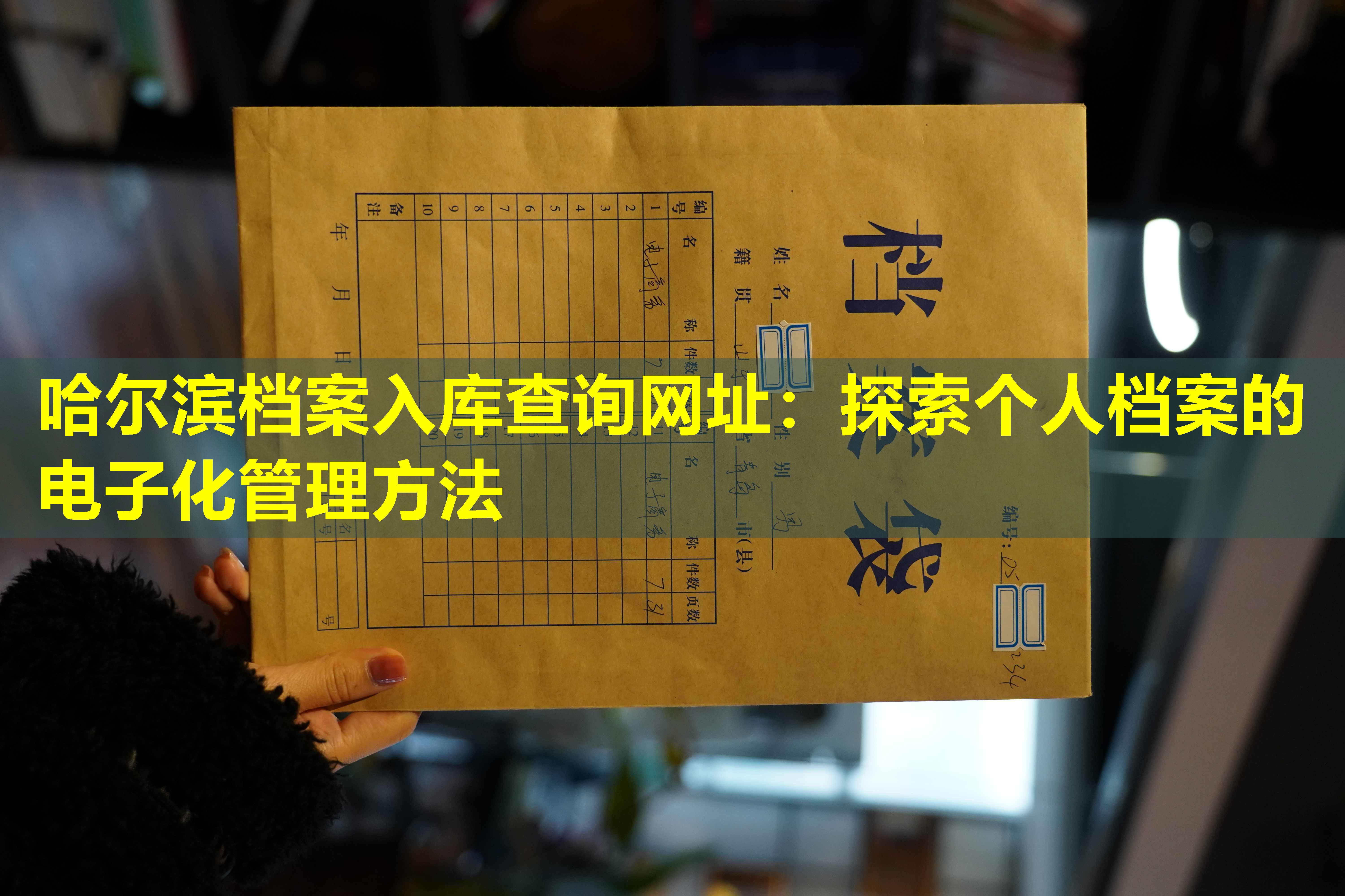 哈尔滨档案入库查询网址：探索个人档案的电子化管理方法