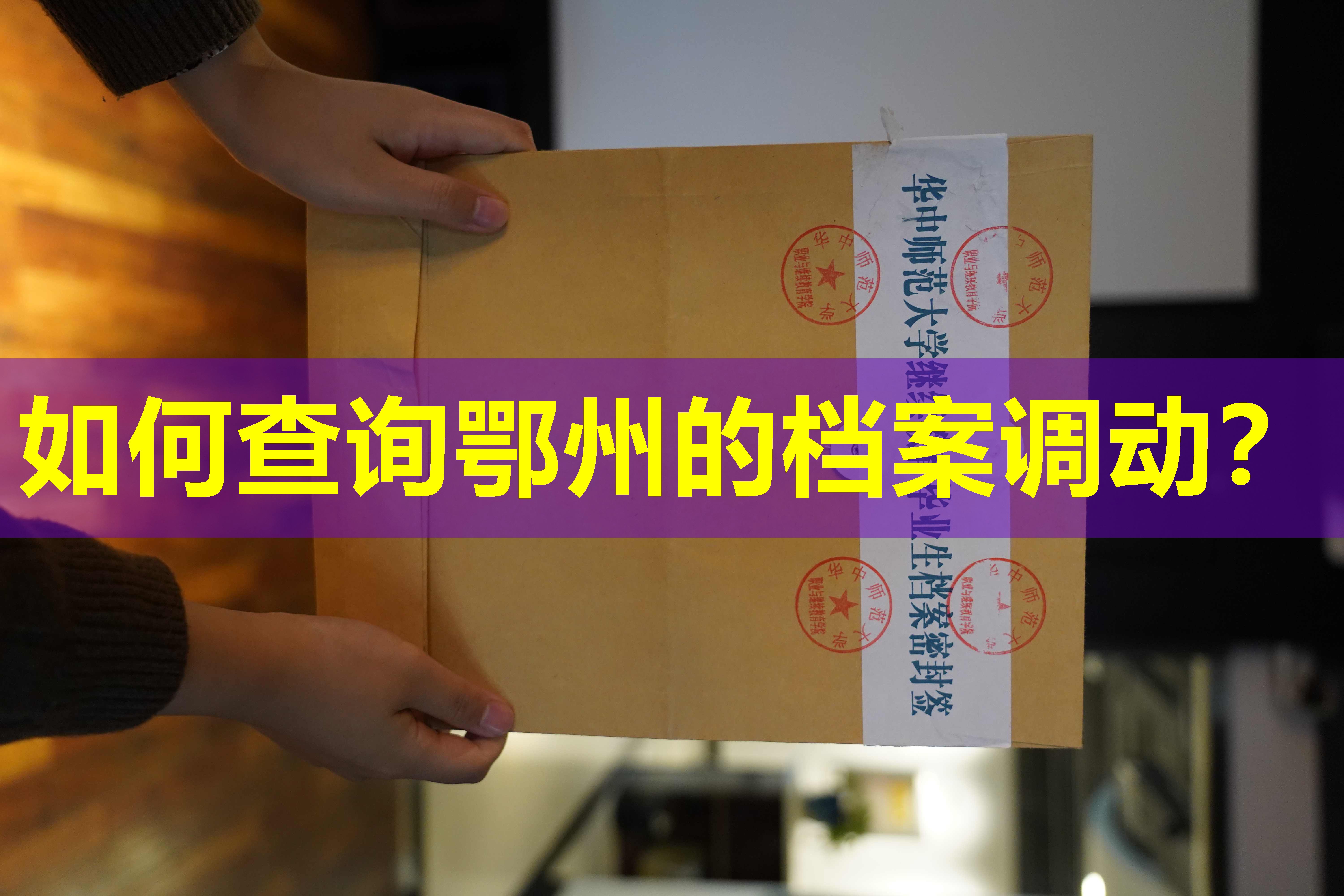 如何查询鄂州的档案调动？