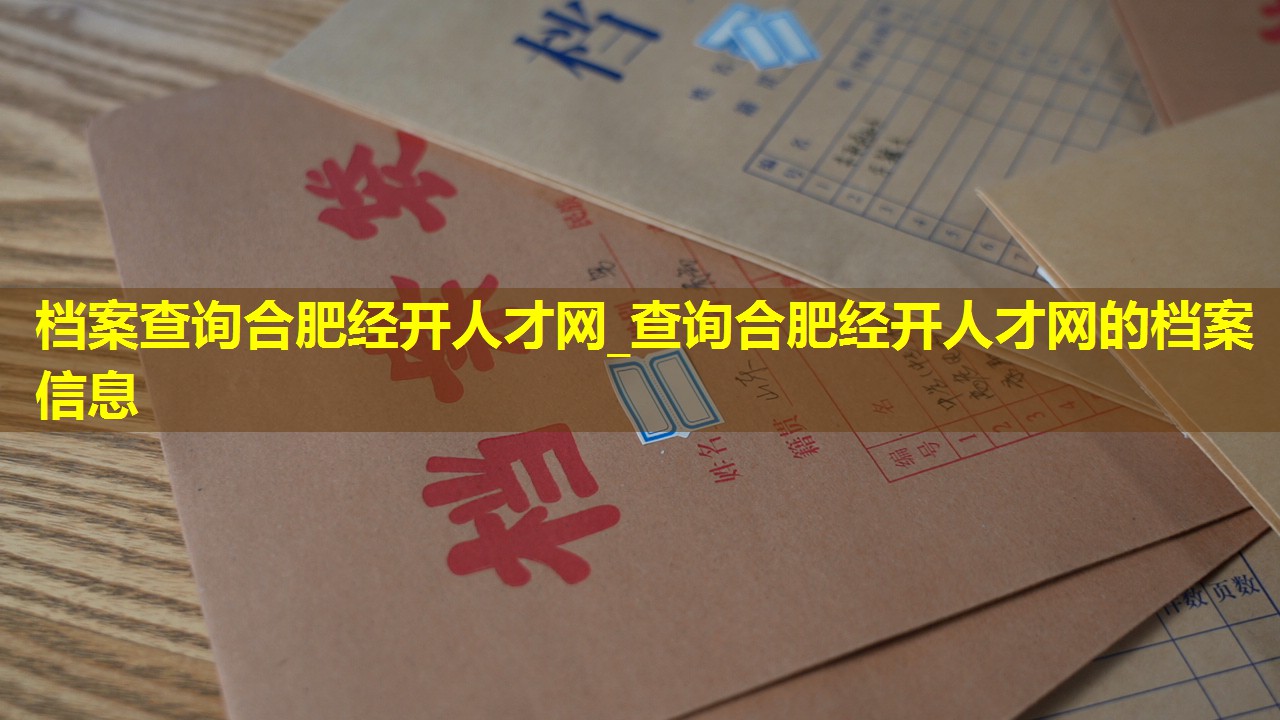 档案查询合肥经开人才网_查询合肥经开人才网的档案信息