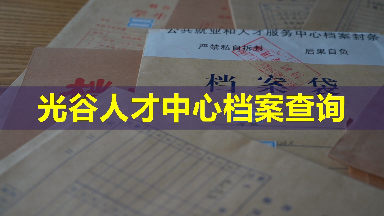 光谷人才中心档案查询