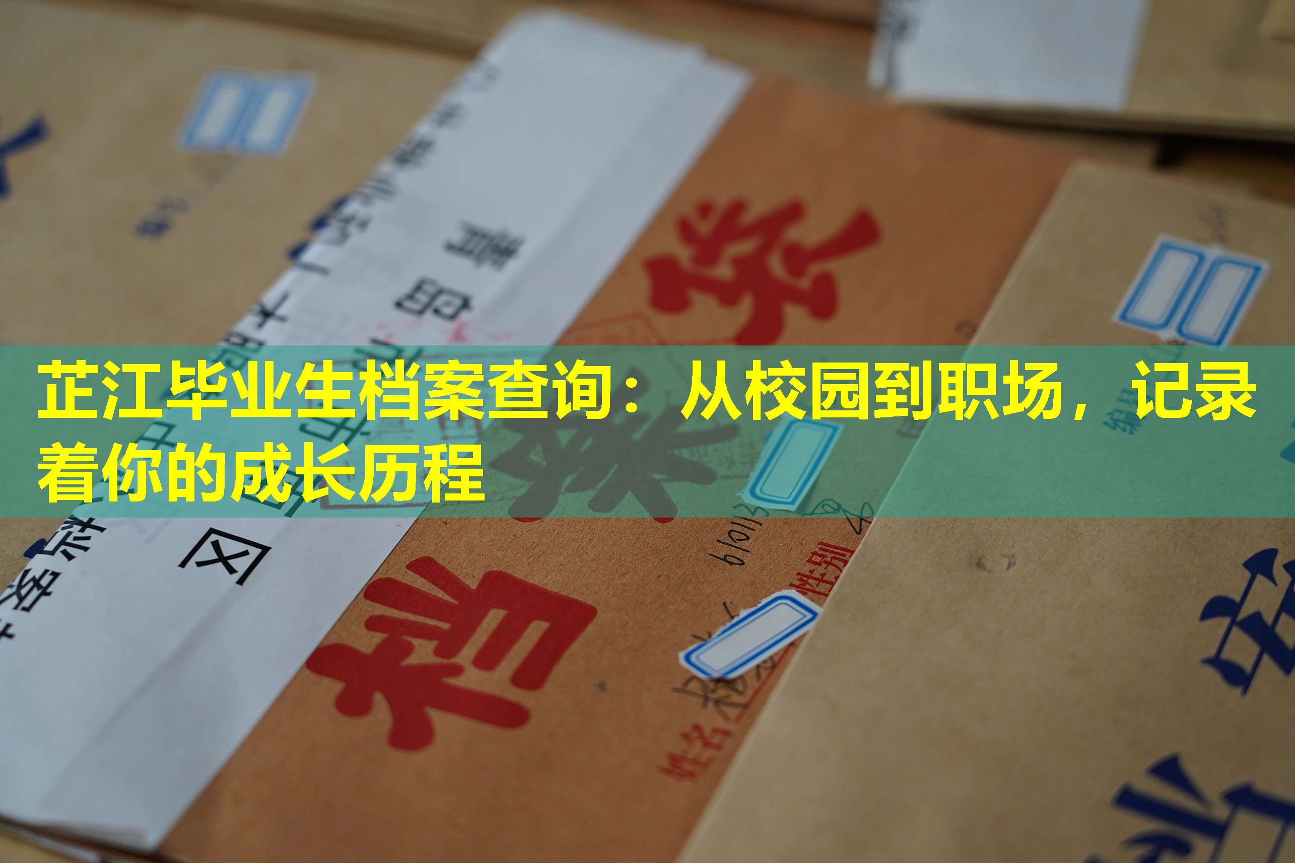 芷江毕业生档案查询：从校园到职场，记录着你的成长历程