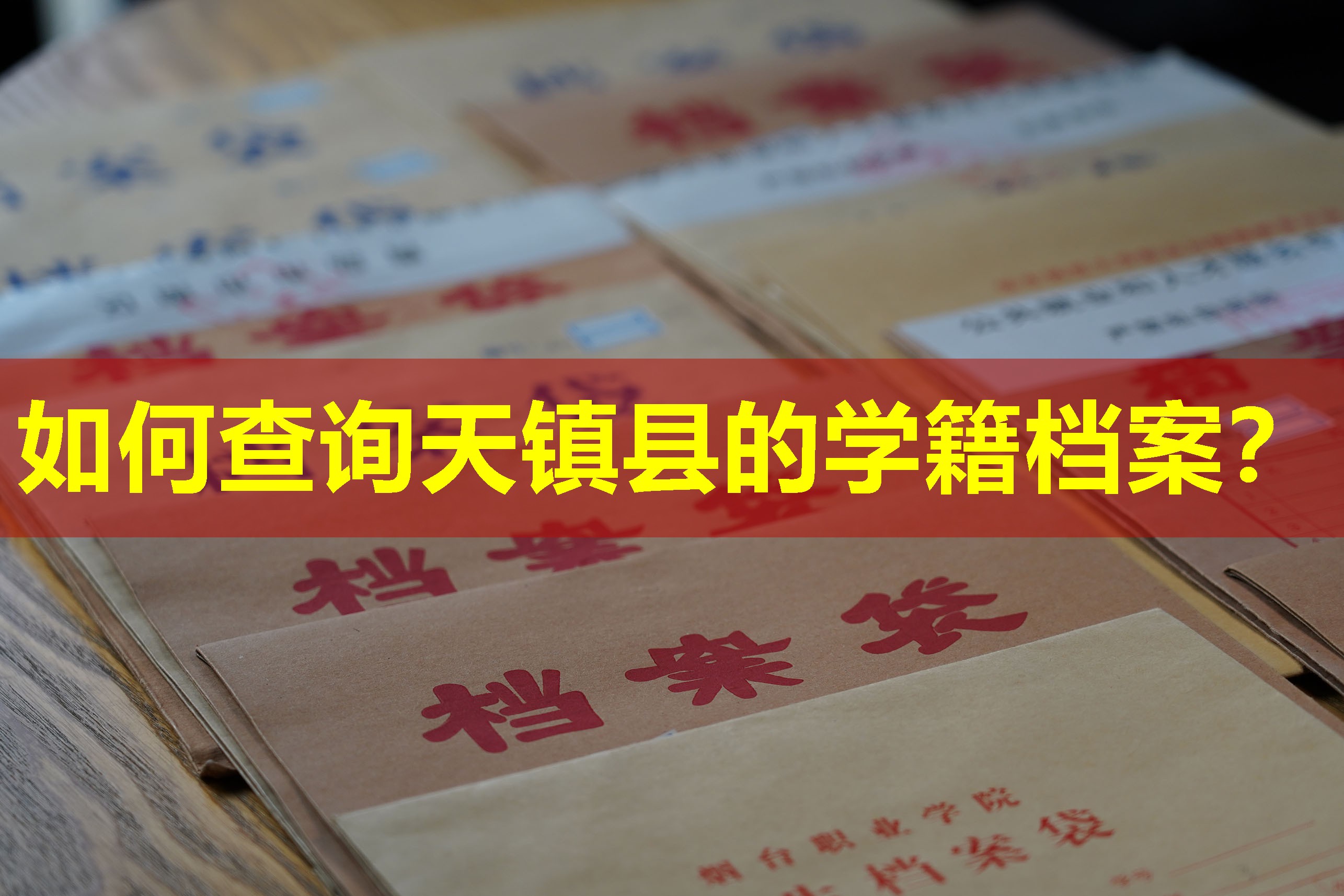 如何查询天镇县的学籍档案？