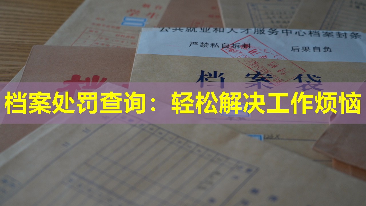 档案处罚查询：轻松解决工作烦恼