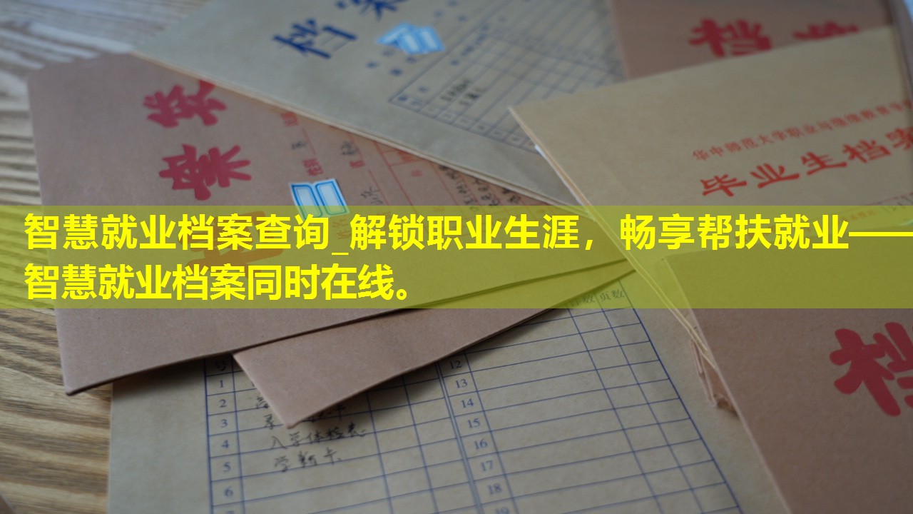 智慧就业档案查询_解锁职业生涯，畅享帮扶就业——智慧就业档案同时在线。