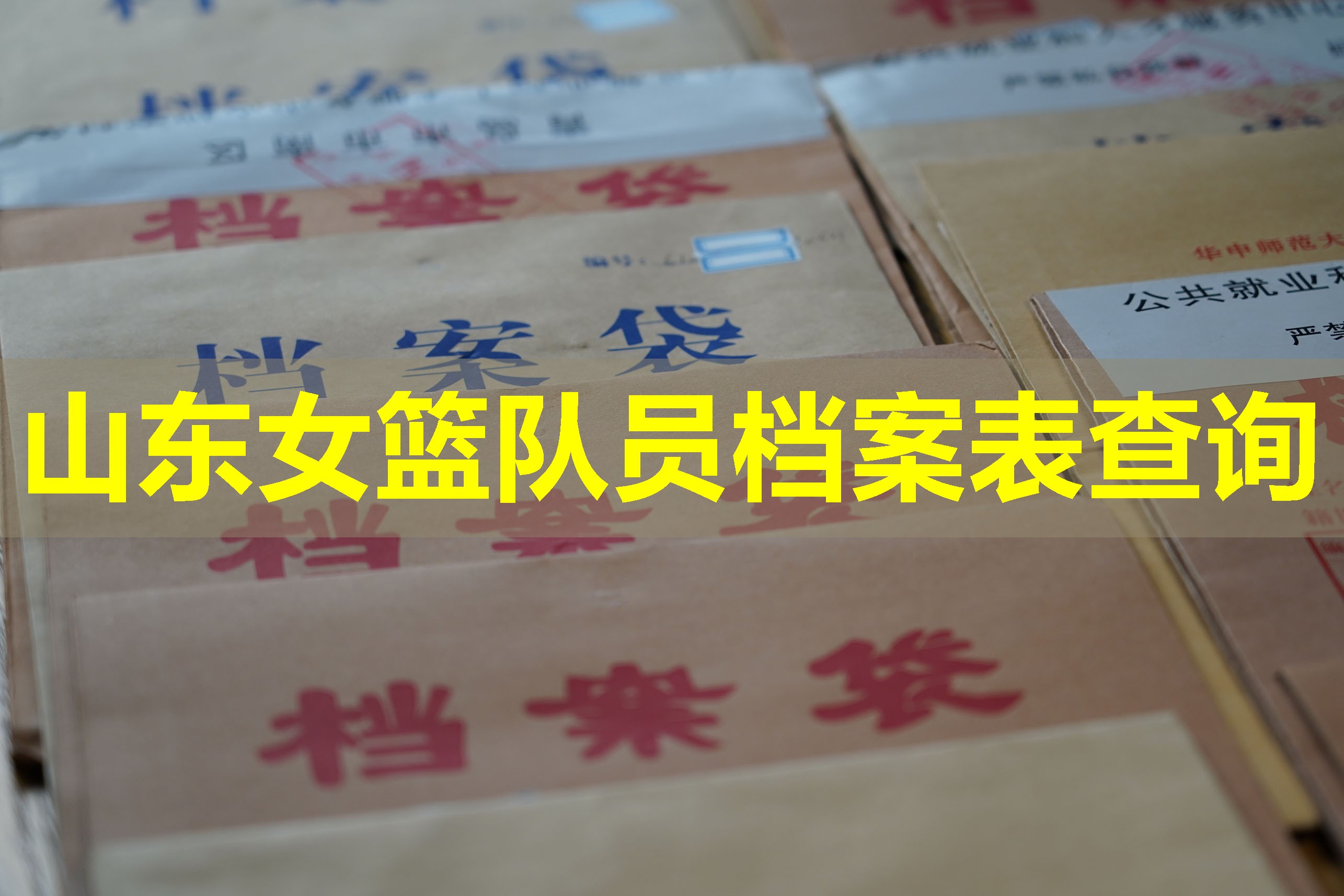 山东女篮队员档案表查询