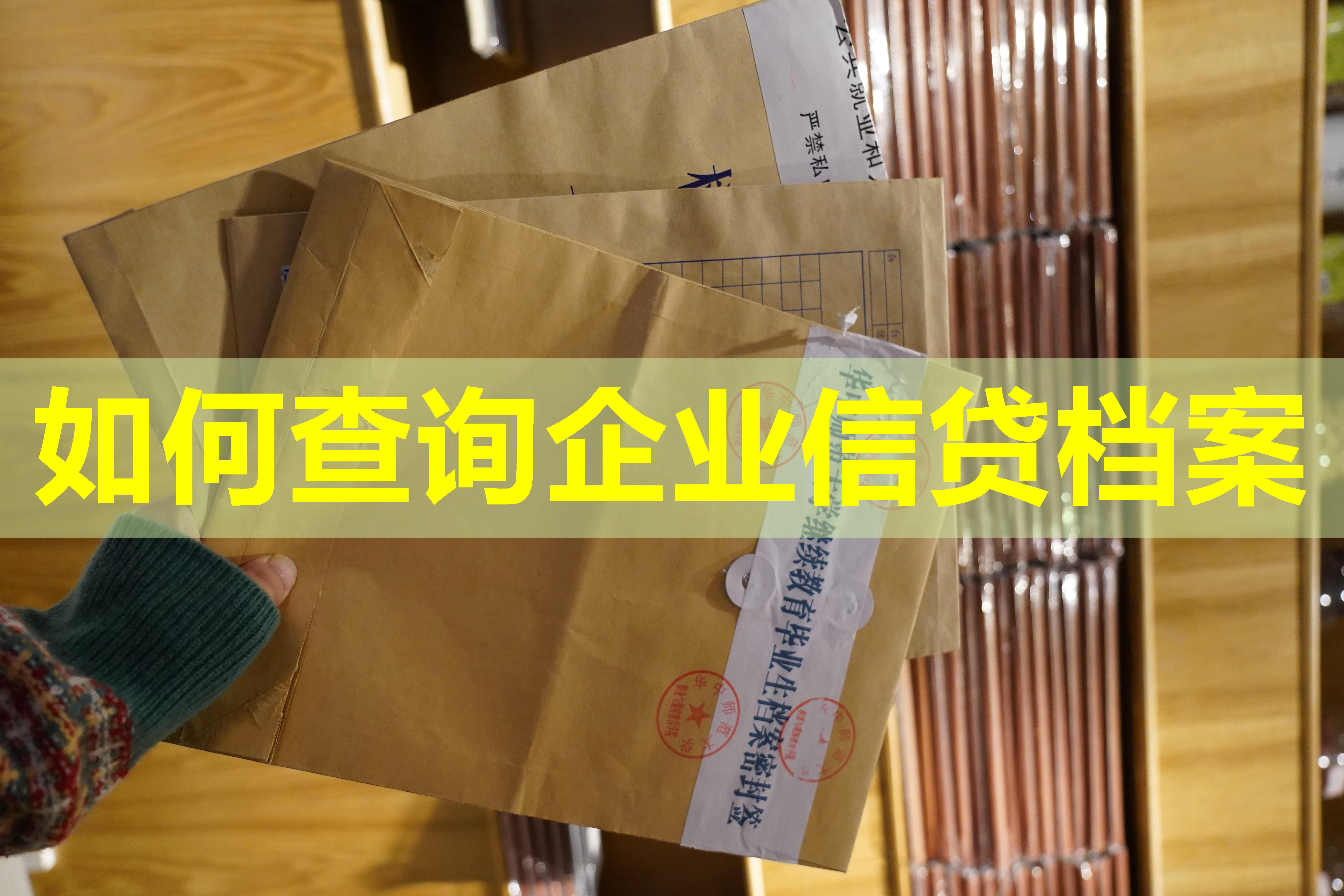 如何查询企业信贷档案