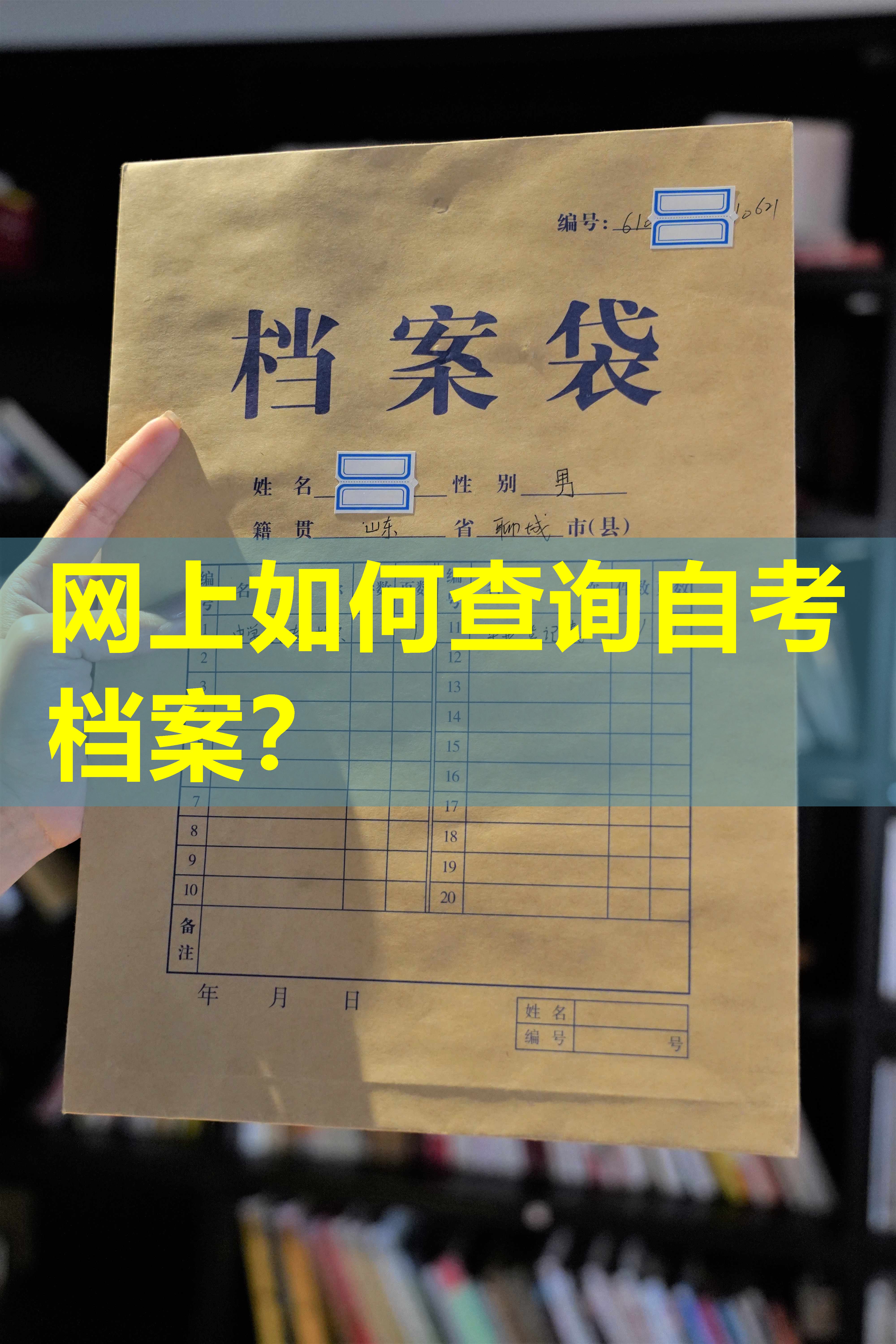 网上如何查询自考档案？