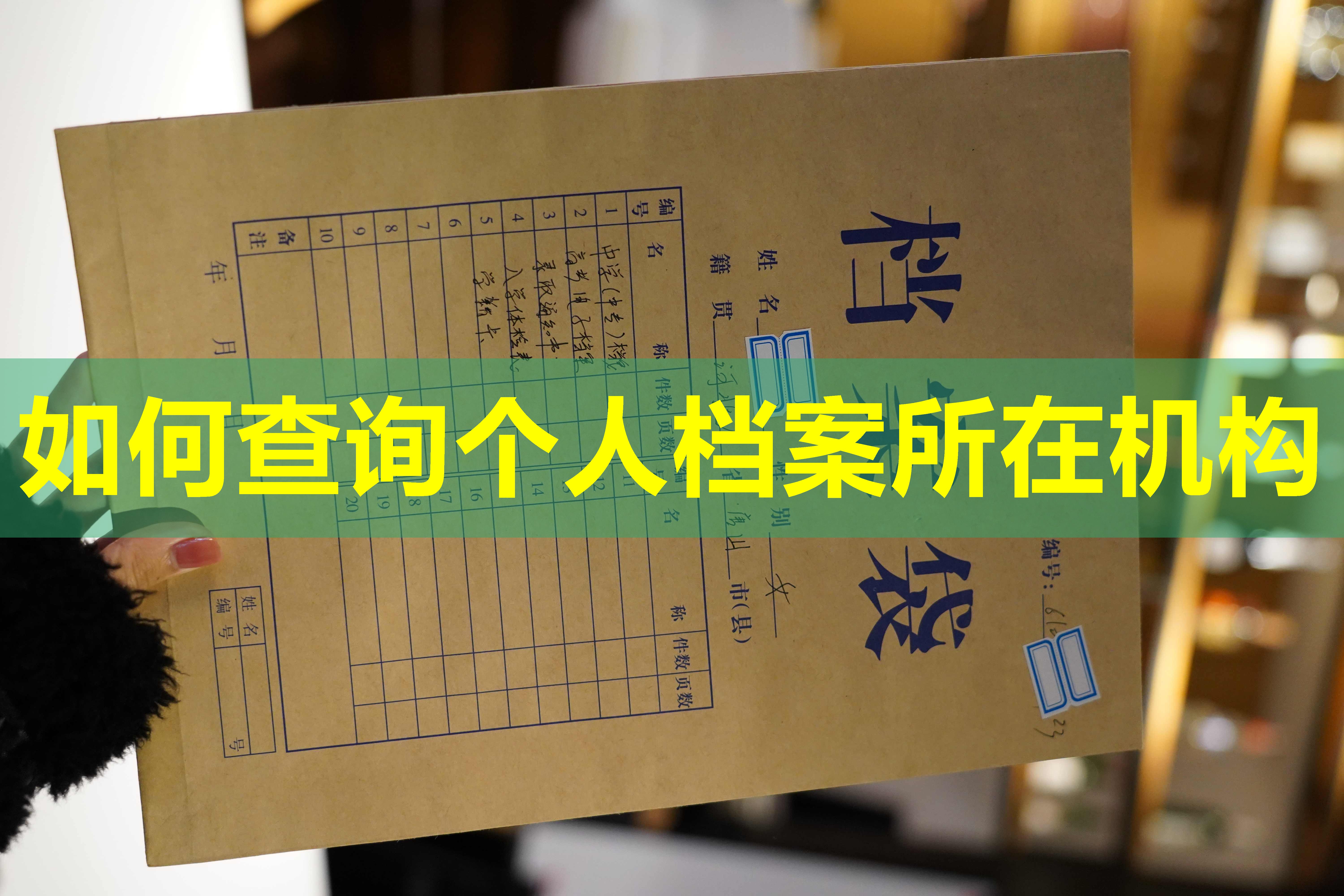 如何查询个人档案所在机构