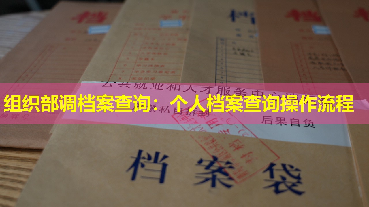 组织部调档案查询：个人档案查询操作流程