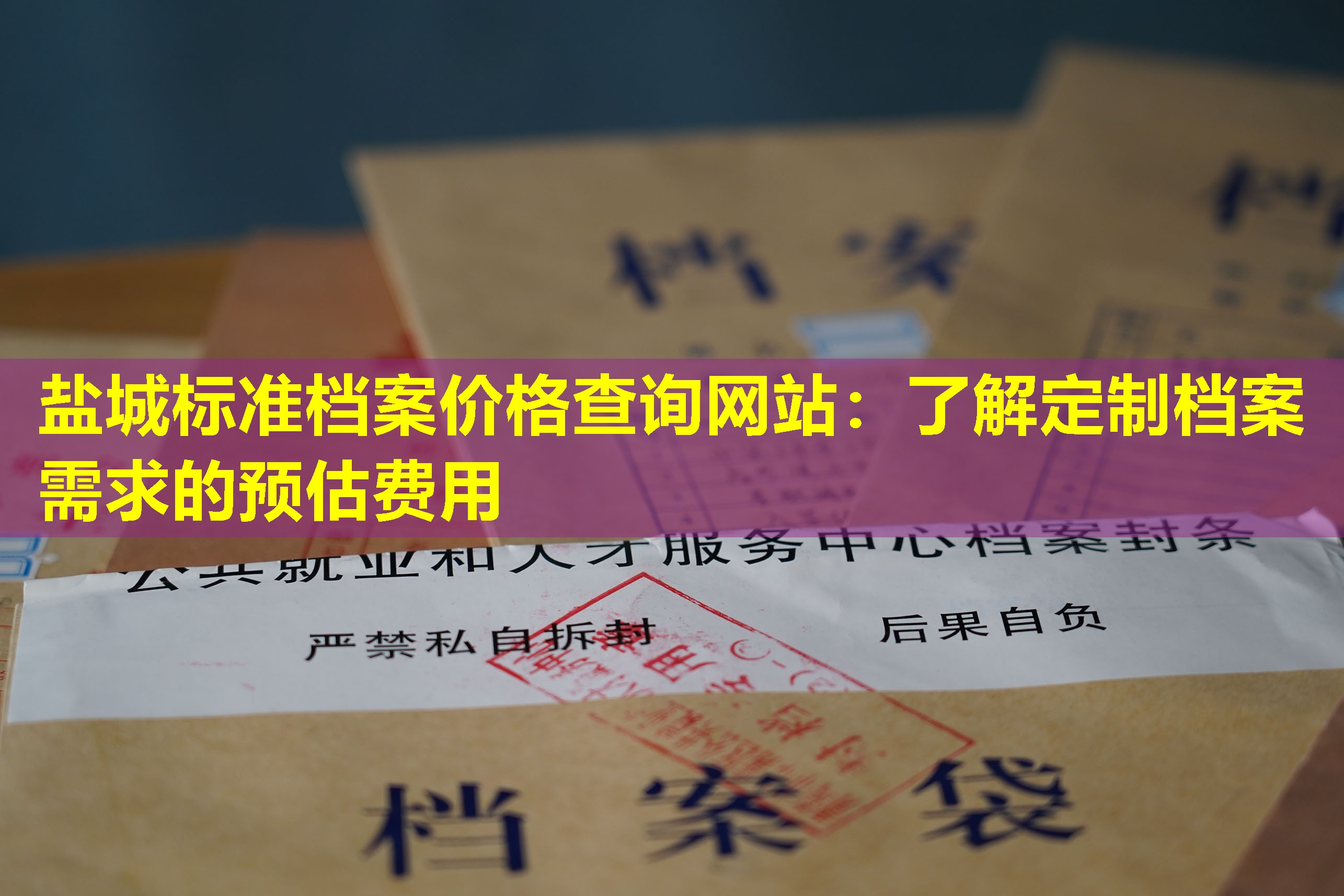 盐城标准档案价格查询网站：了解定制档案需求的预估费用