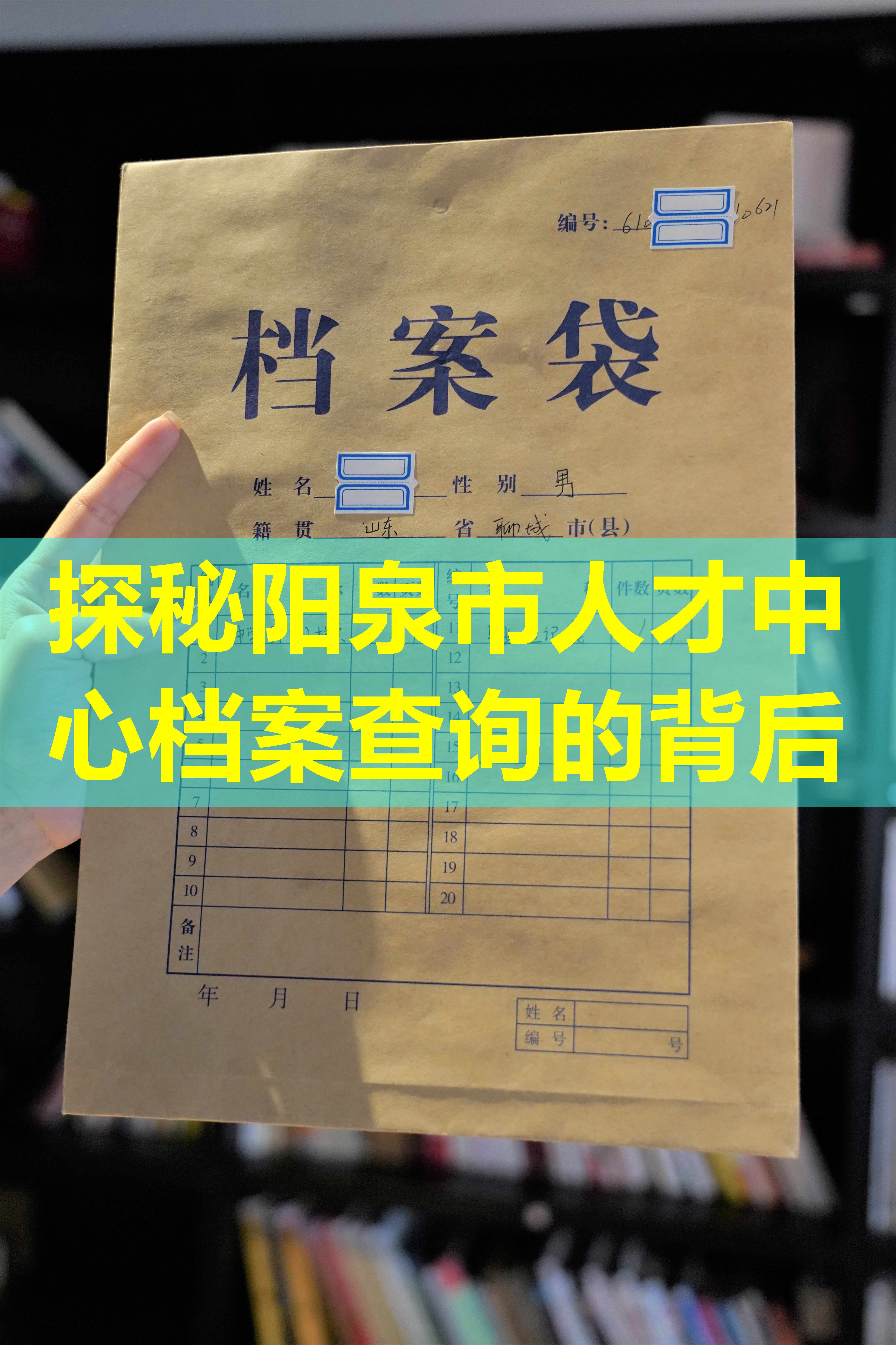 探秘阳泉市人才中心档案查询的背后