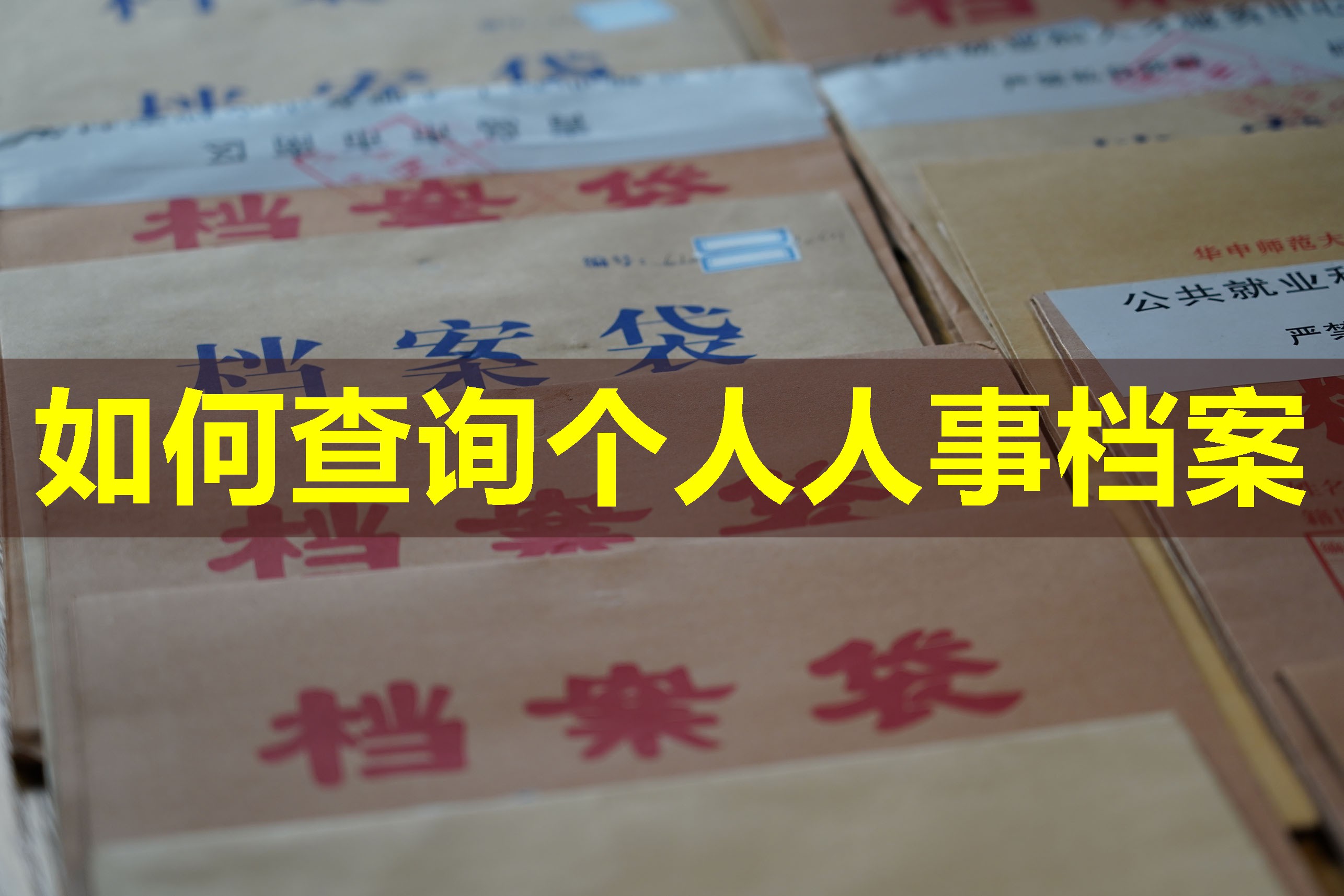 如何查询个人人事档案
