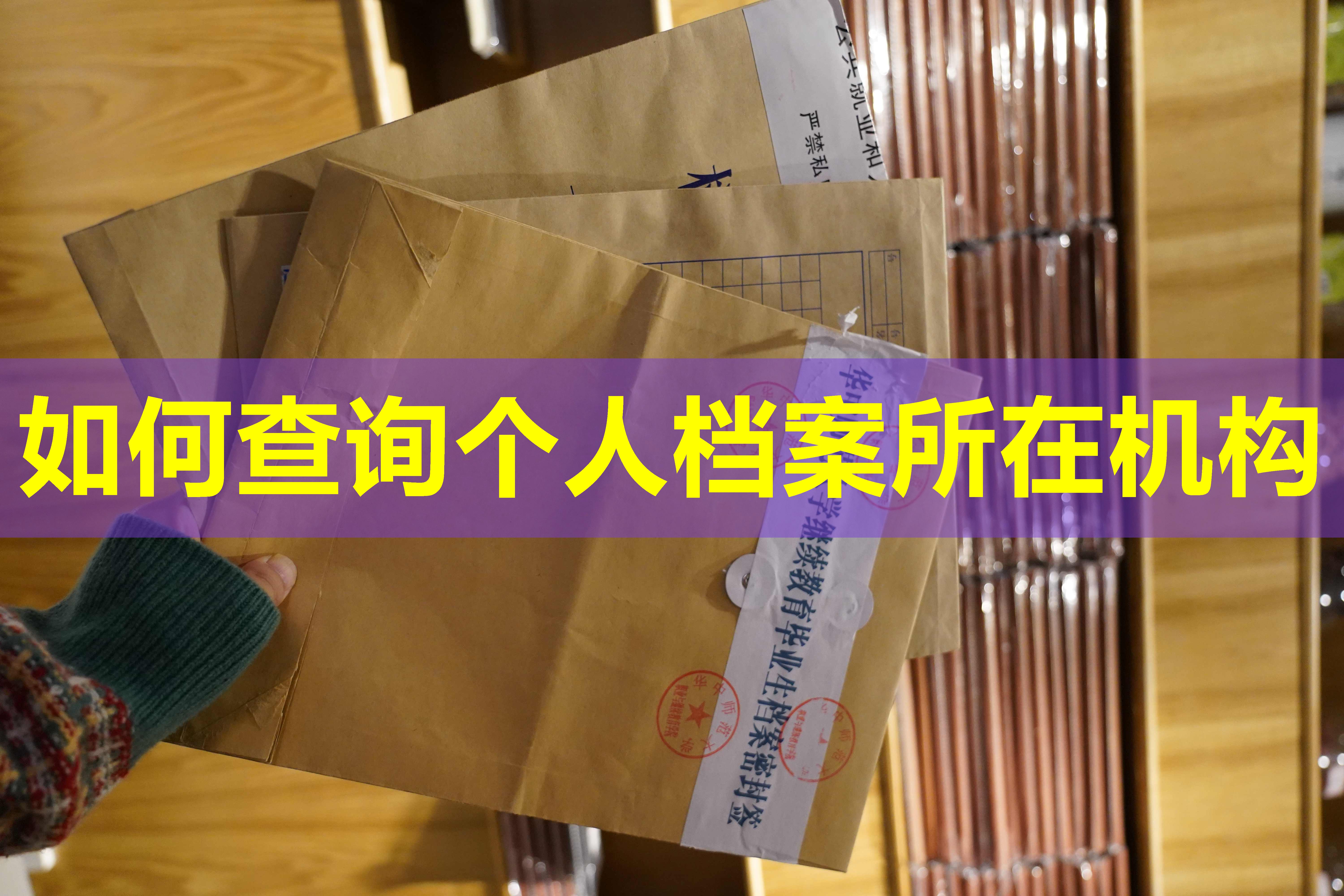 如何查询个人档案所在机构