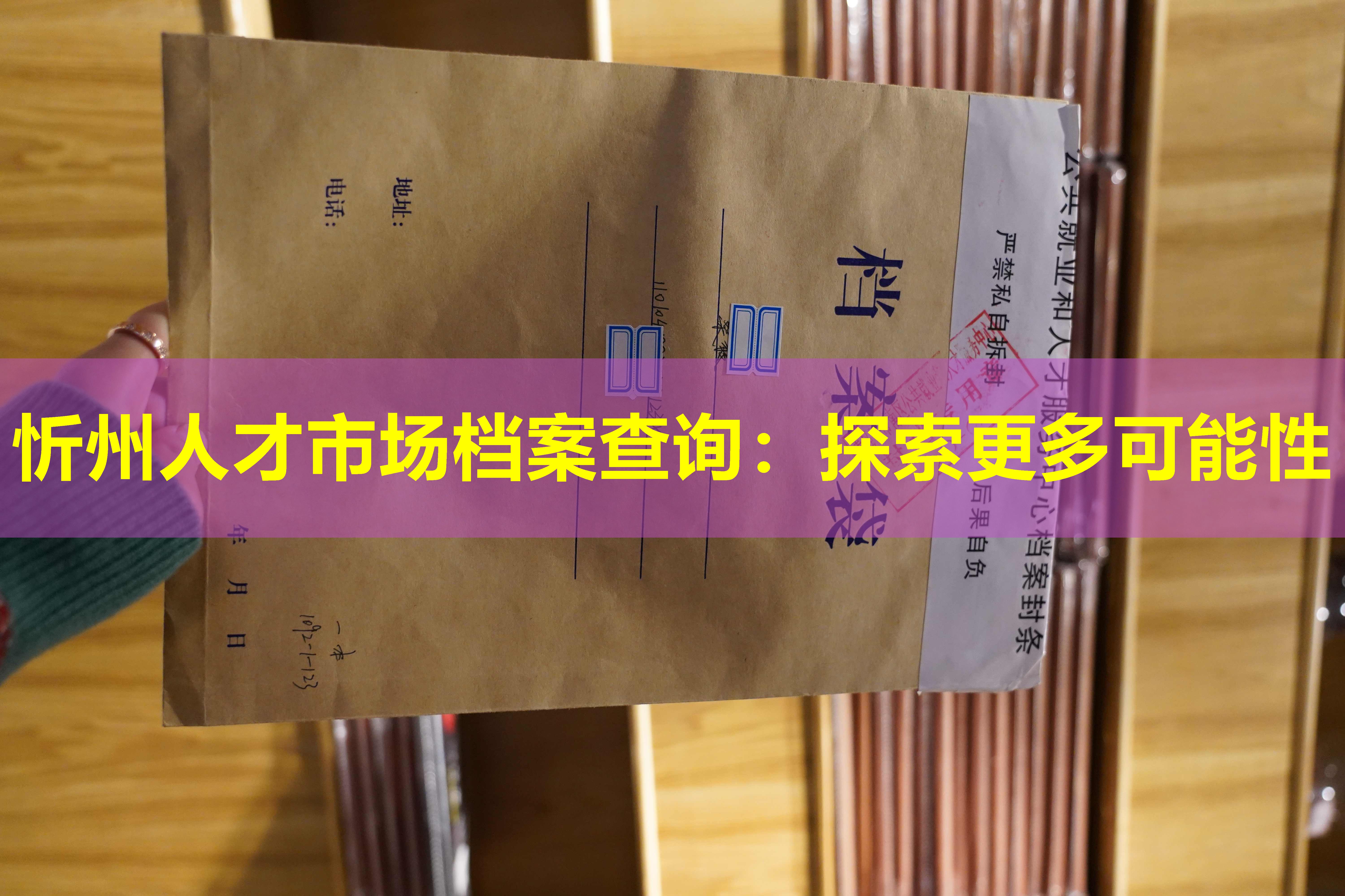 忻州人才市场档案查询：探索更多可能性