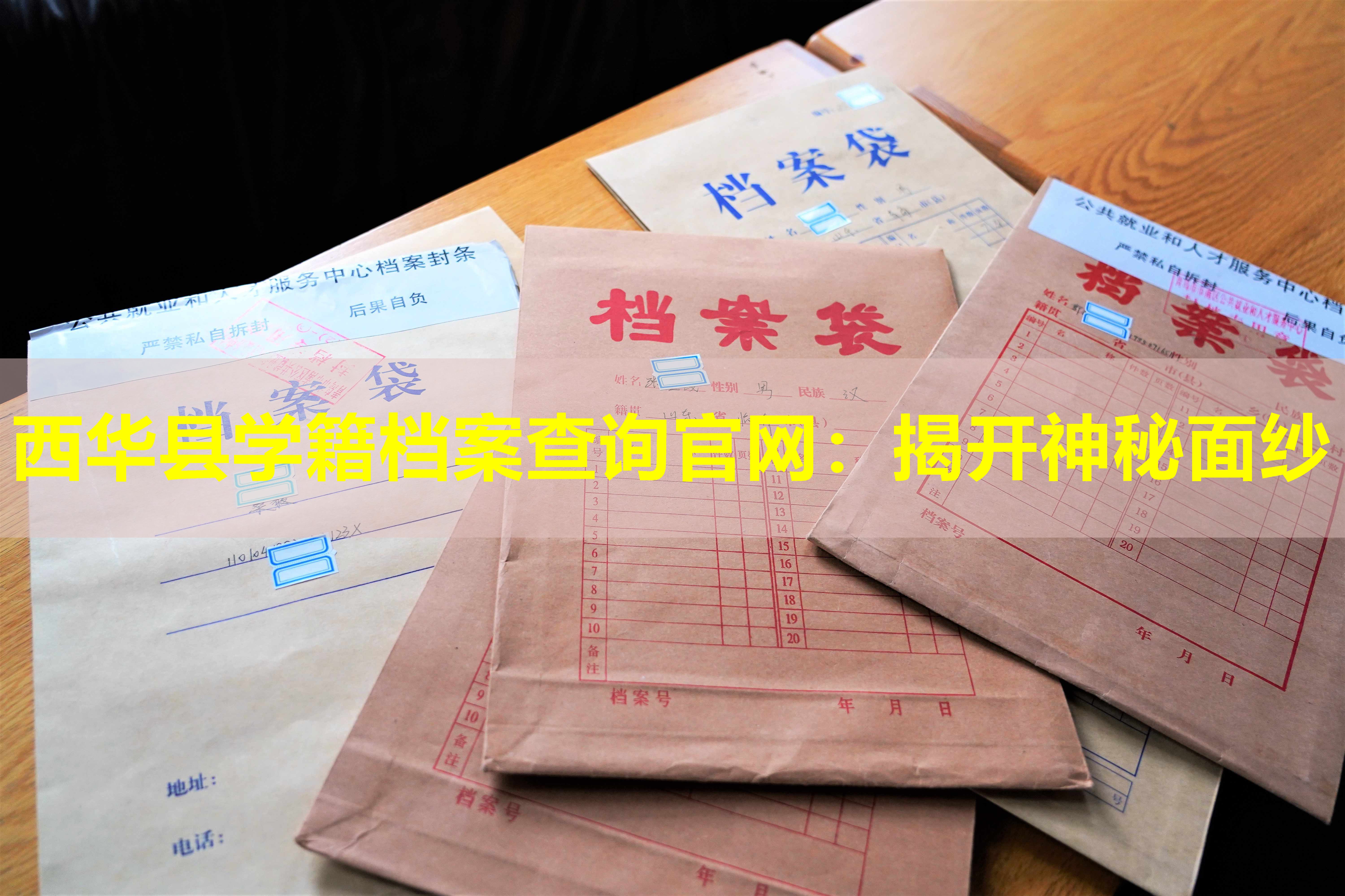 西华县学籍档案查询官网：揭开神秘面纱
