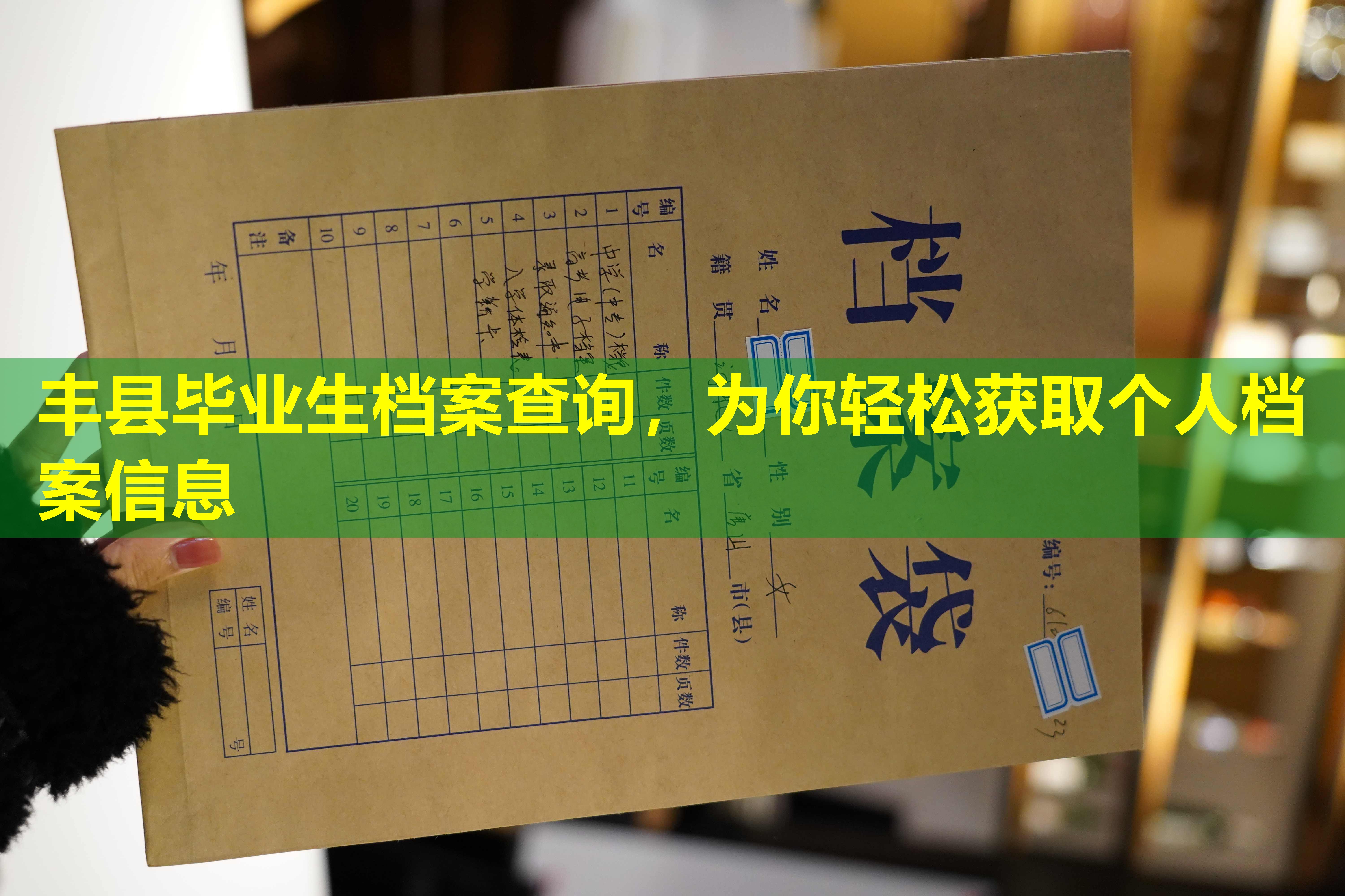 丰县毕业生档案查询，为你轻松获取个人档案信息