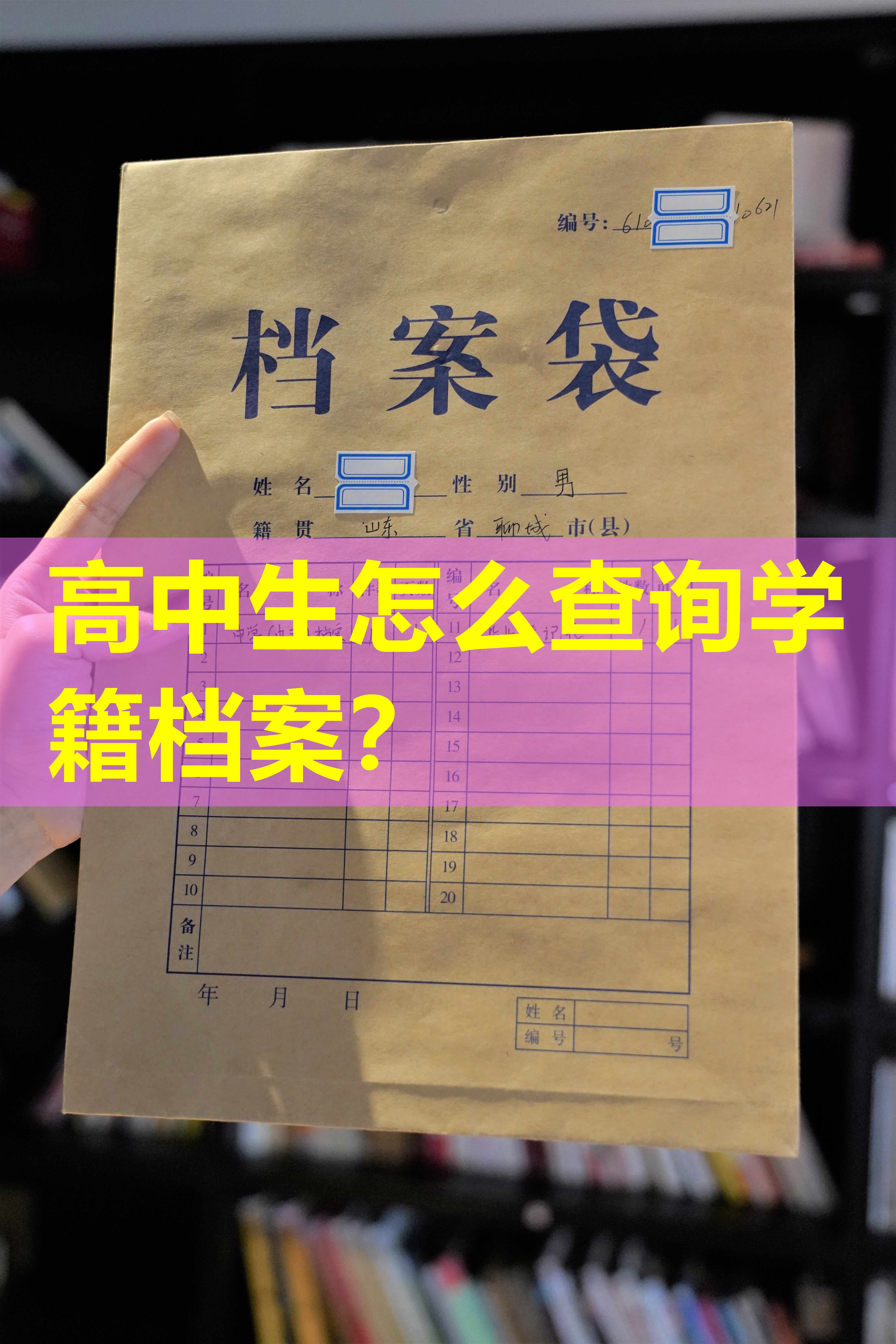 高中生怎么查询学籍档案？