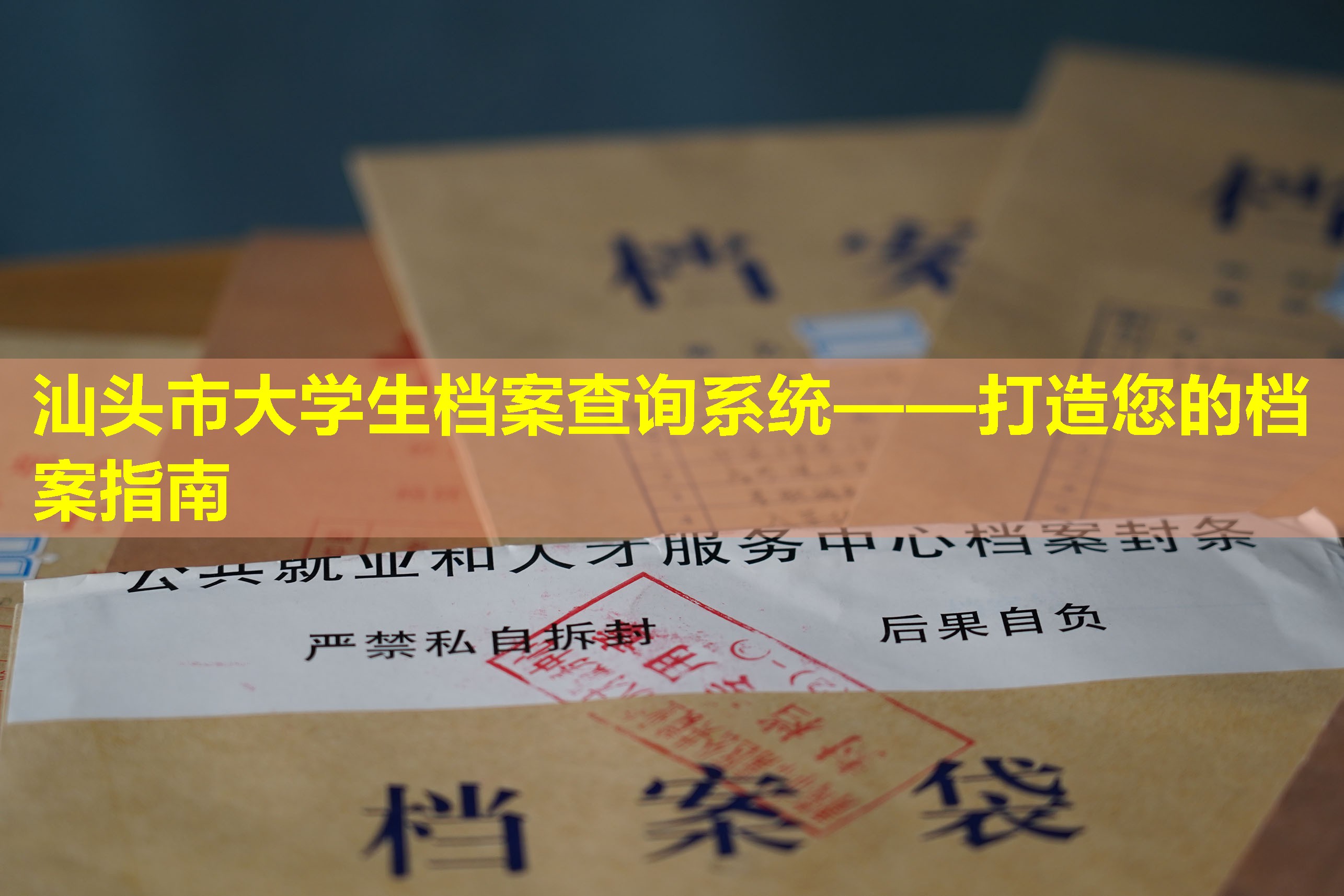 汕头市大学生档案查询系统——打造您的档案指南