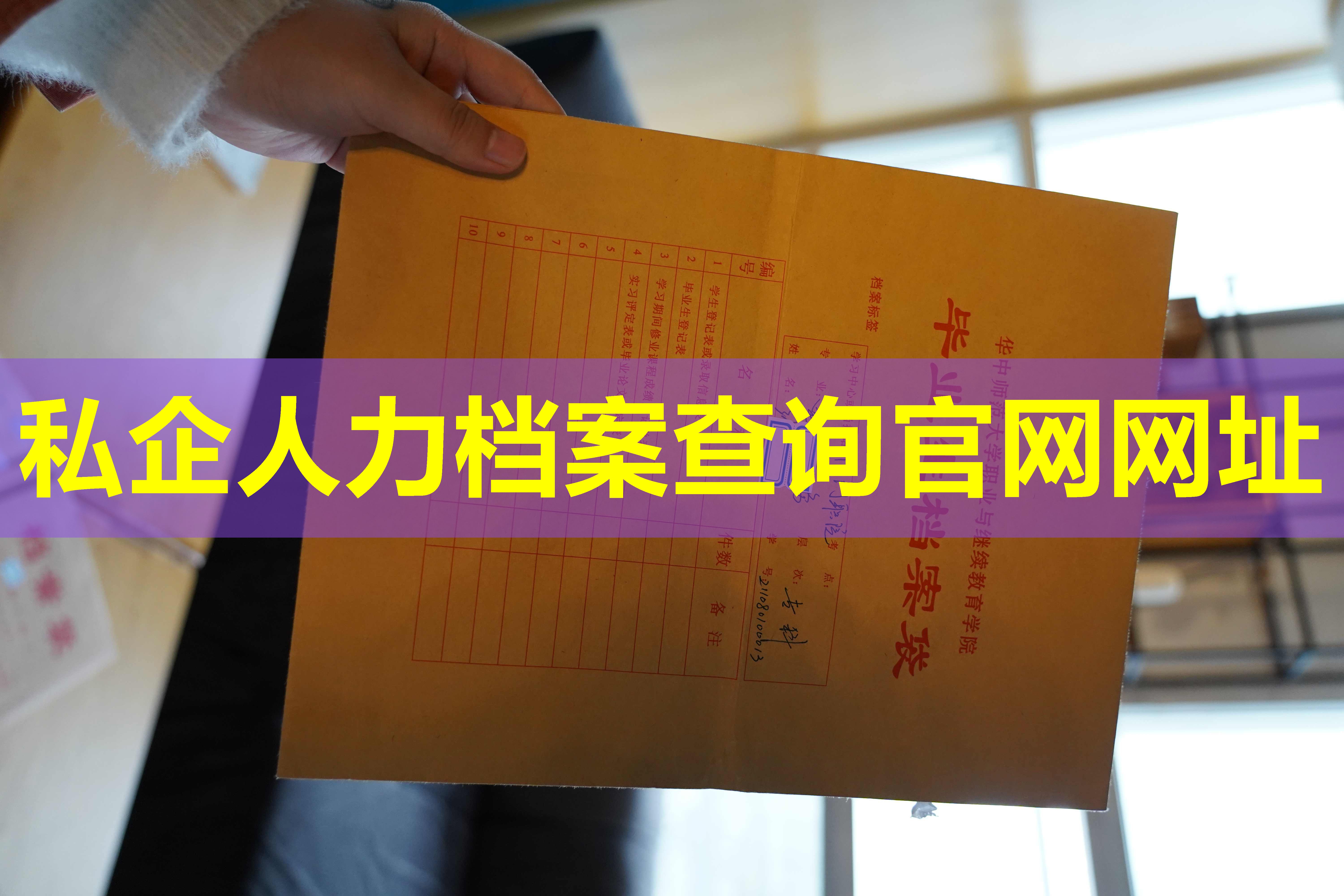 私企人力档案查询官网网址